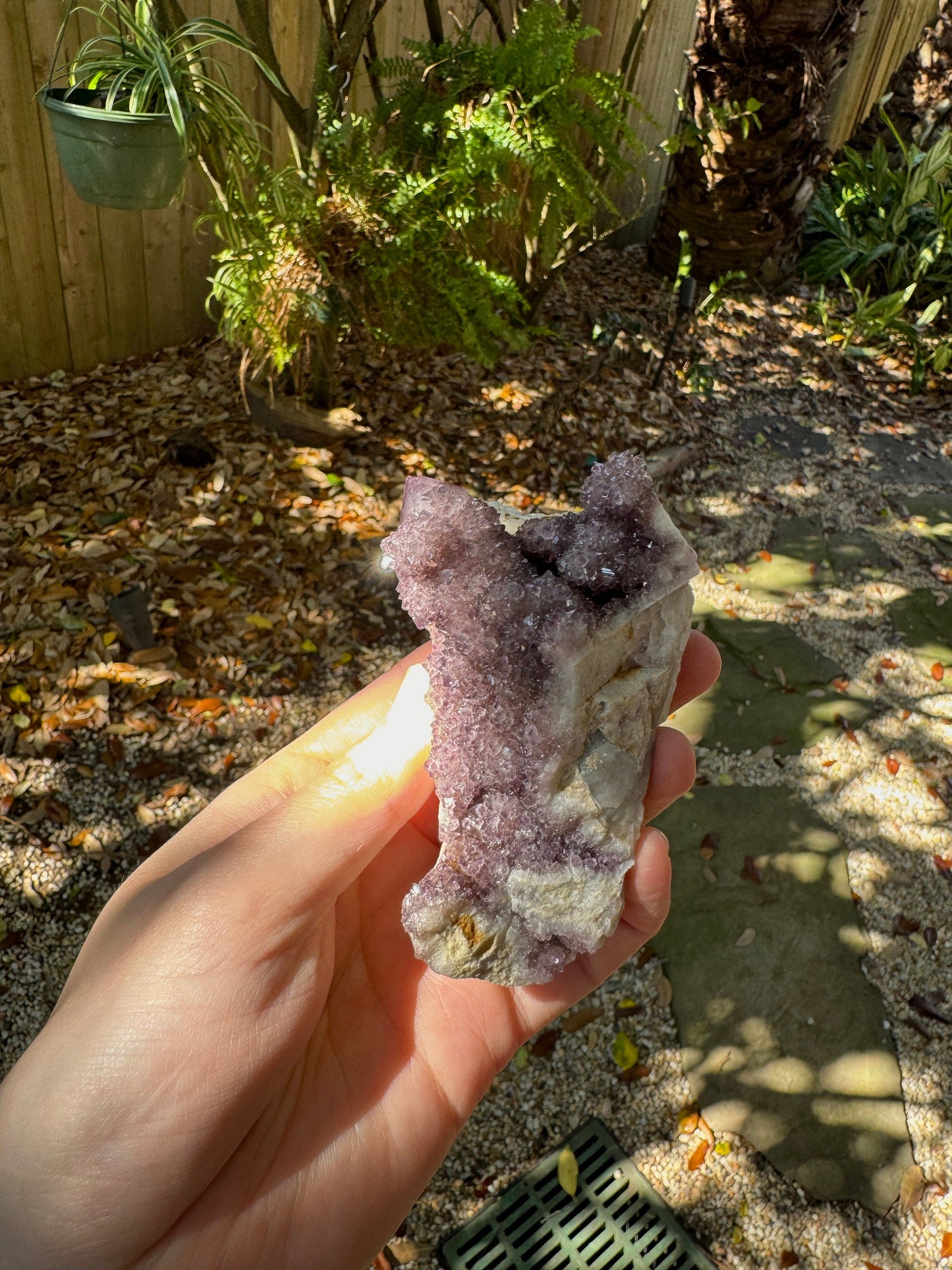 Amethyst Spirit Quartz Point cluster With Iron Specimen 263.5g From Mpumalanga South Africa