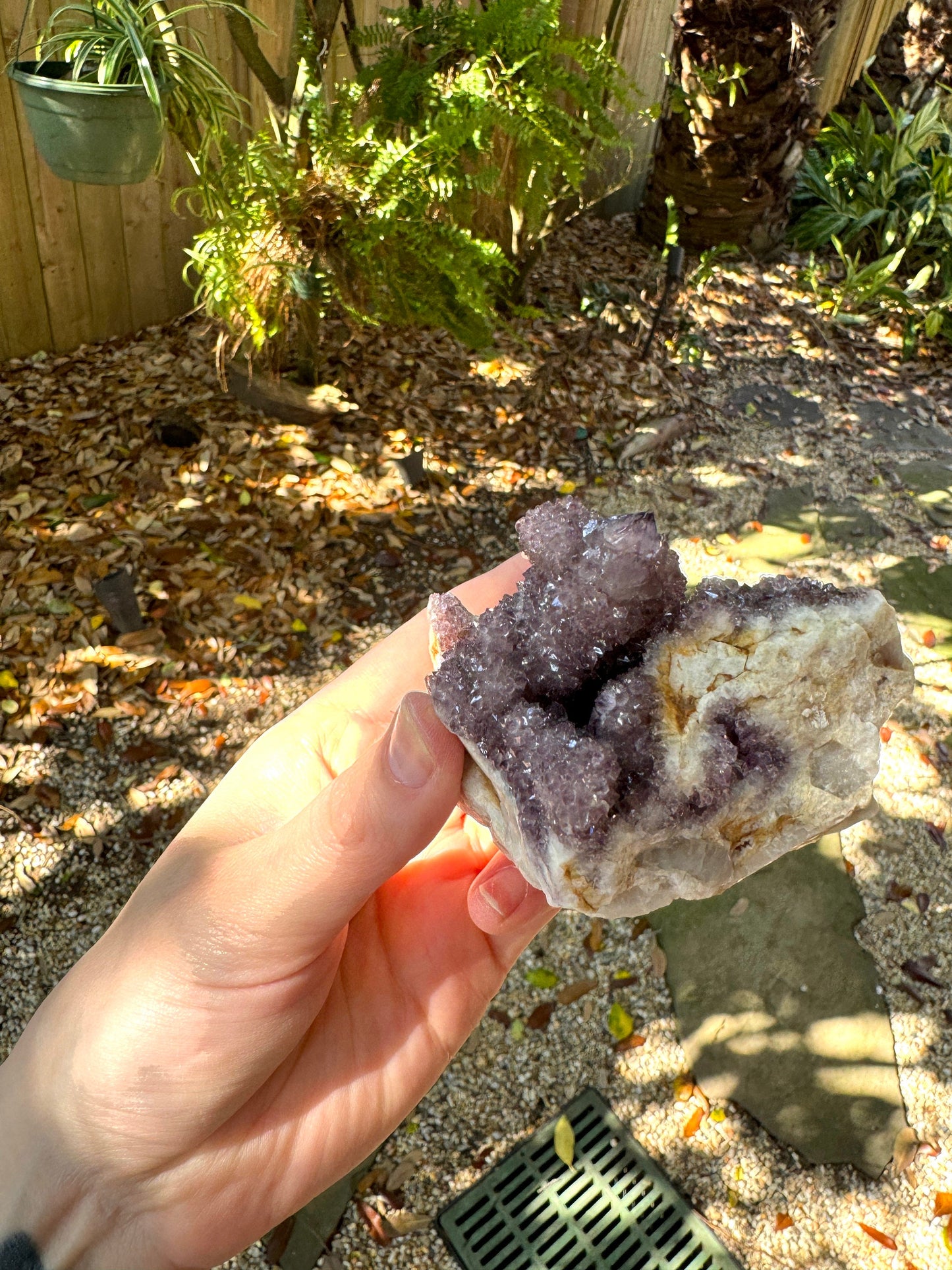 Amethyst Spirit Quartz Point cluster With Iron Specimen 263.5g From Mpumalanga South Africa