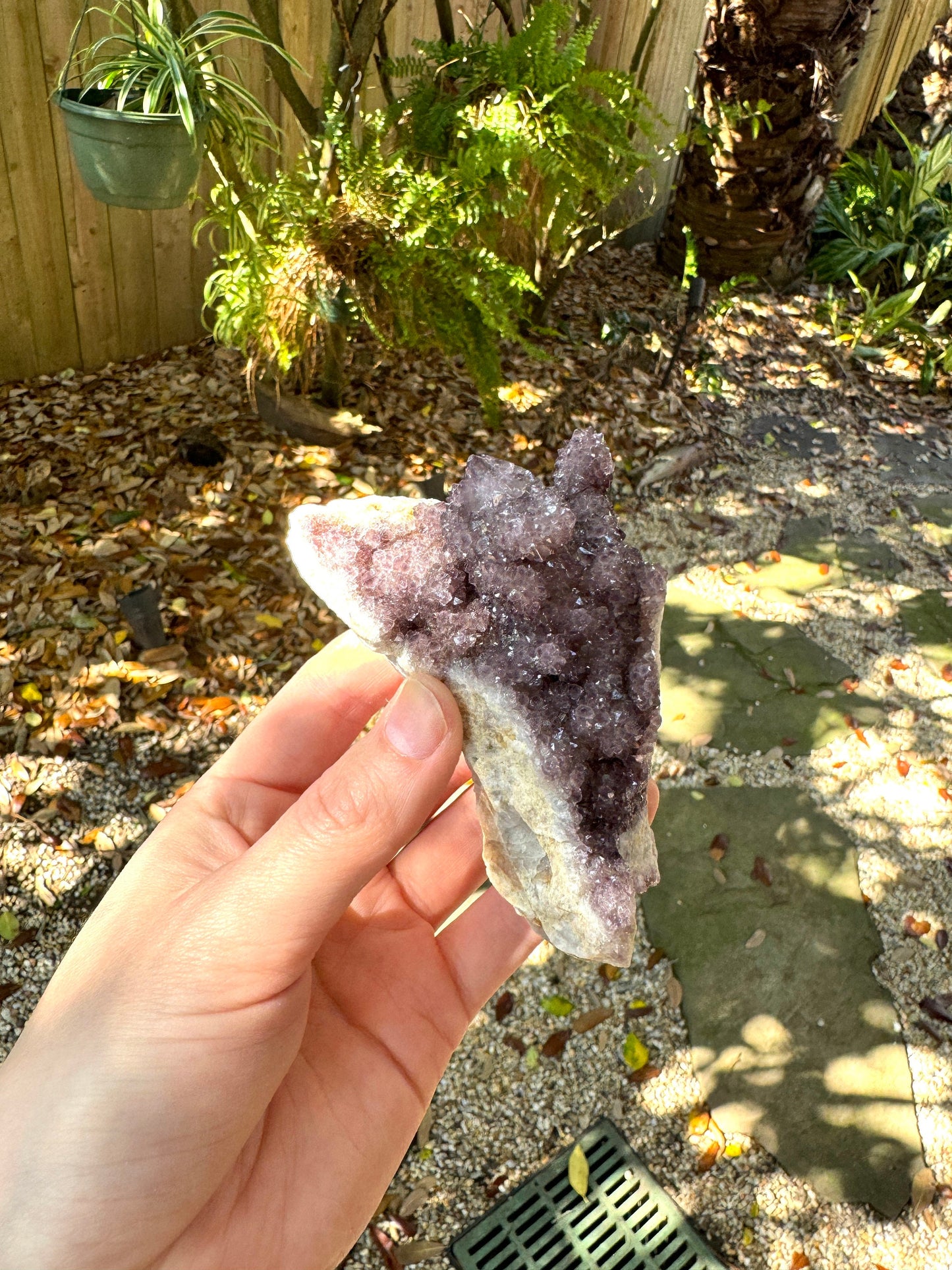 Amethyst Spirit Quartz Point cluster With Iron Specimen 263.5g From Mpumalanga South Africa