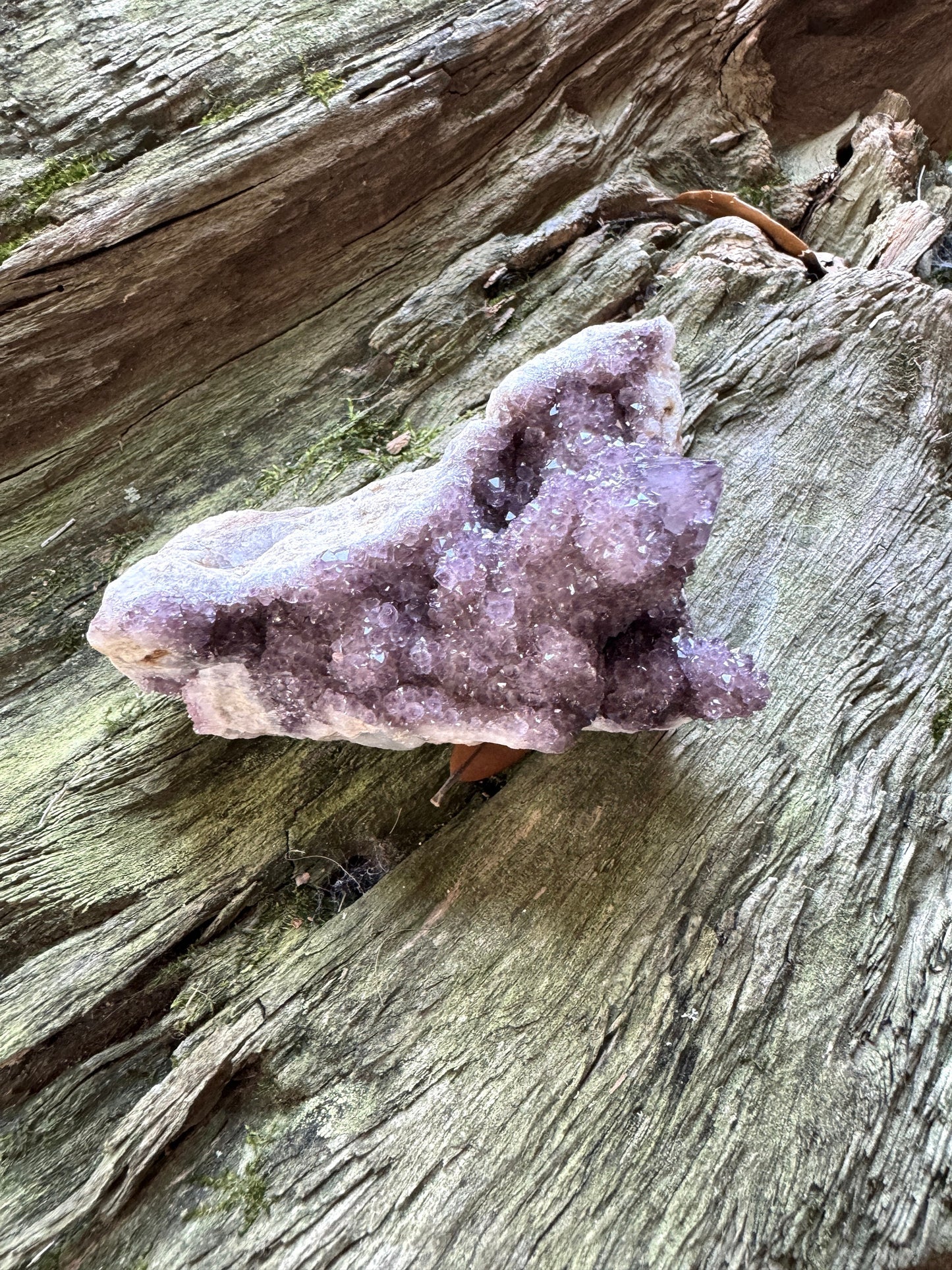 Amethyst Spirit Quartz Point cluster With Iron Specimen 263.5g From Mpumalanga South Africa