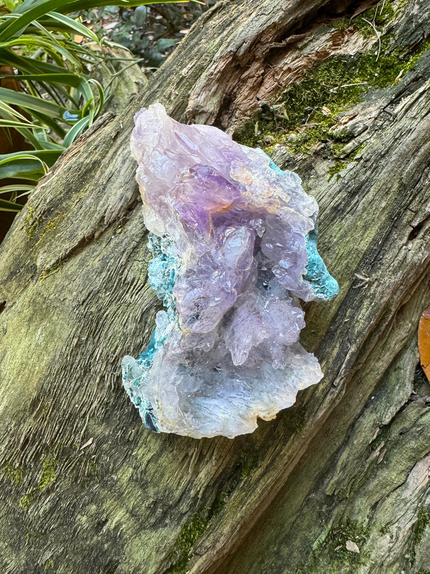 Partial Amethyst Flower 248g Specimen From Rio Grande Do Sol, Brazil