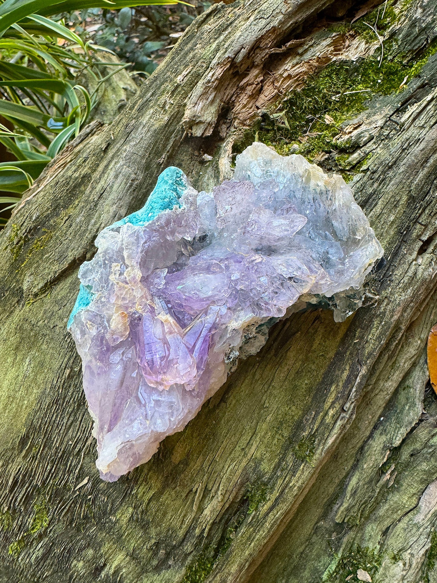 Partial Amethyst Flower 248g Specimen From Rio Grande Do Sol, Brazil