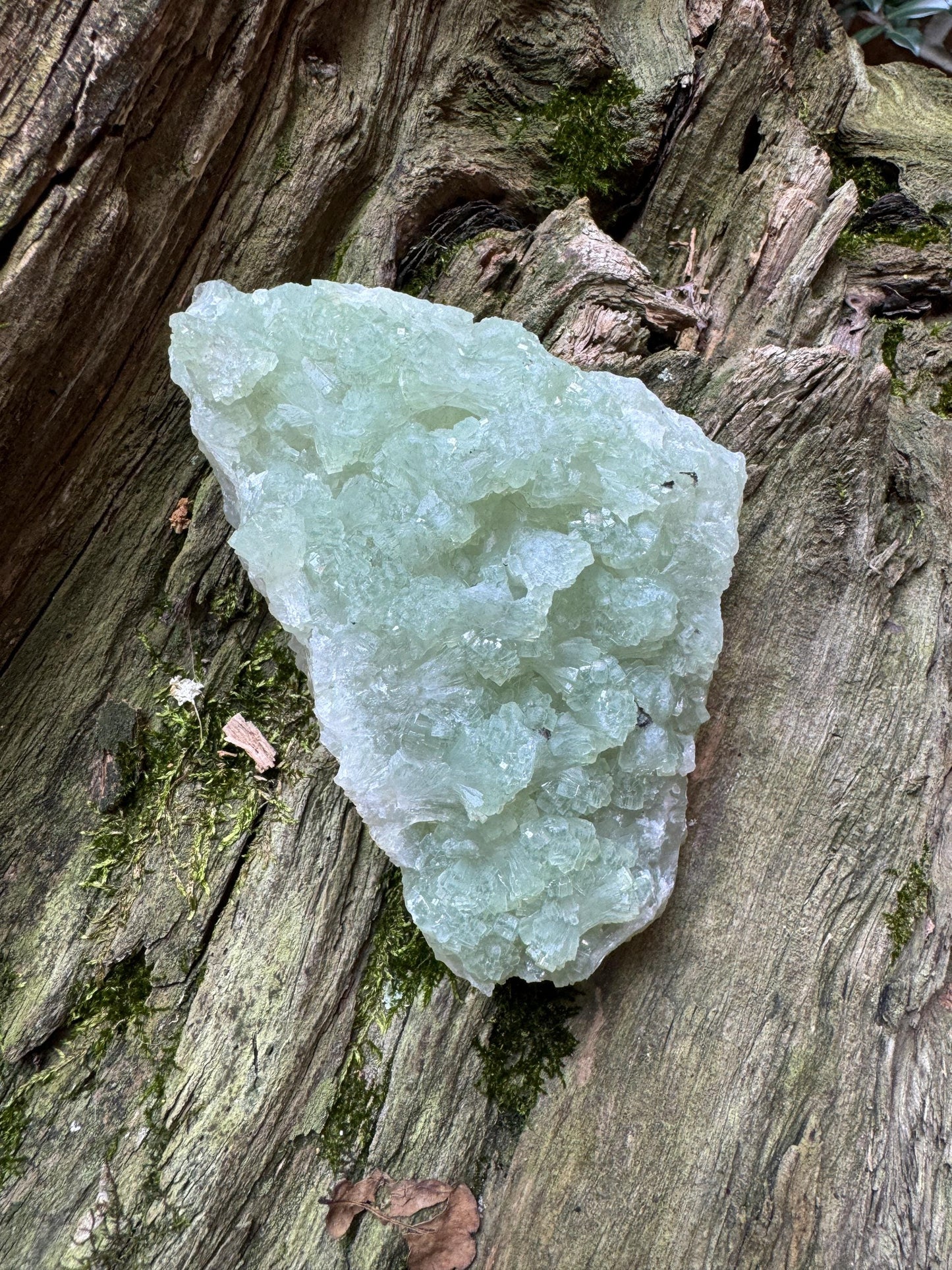 Large Green Prehnite Specimen 344.2g From South Africa Minerals Crystals