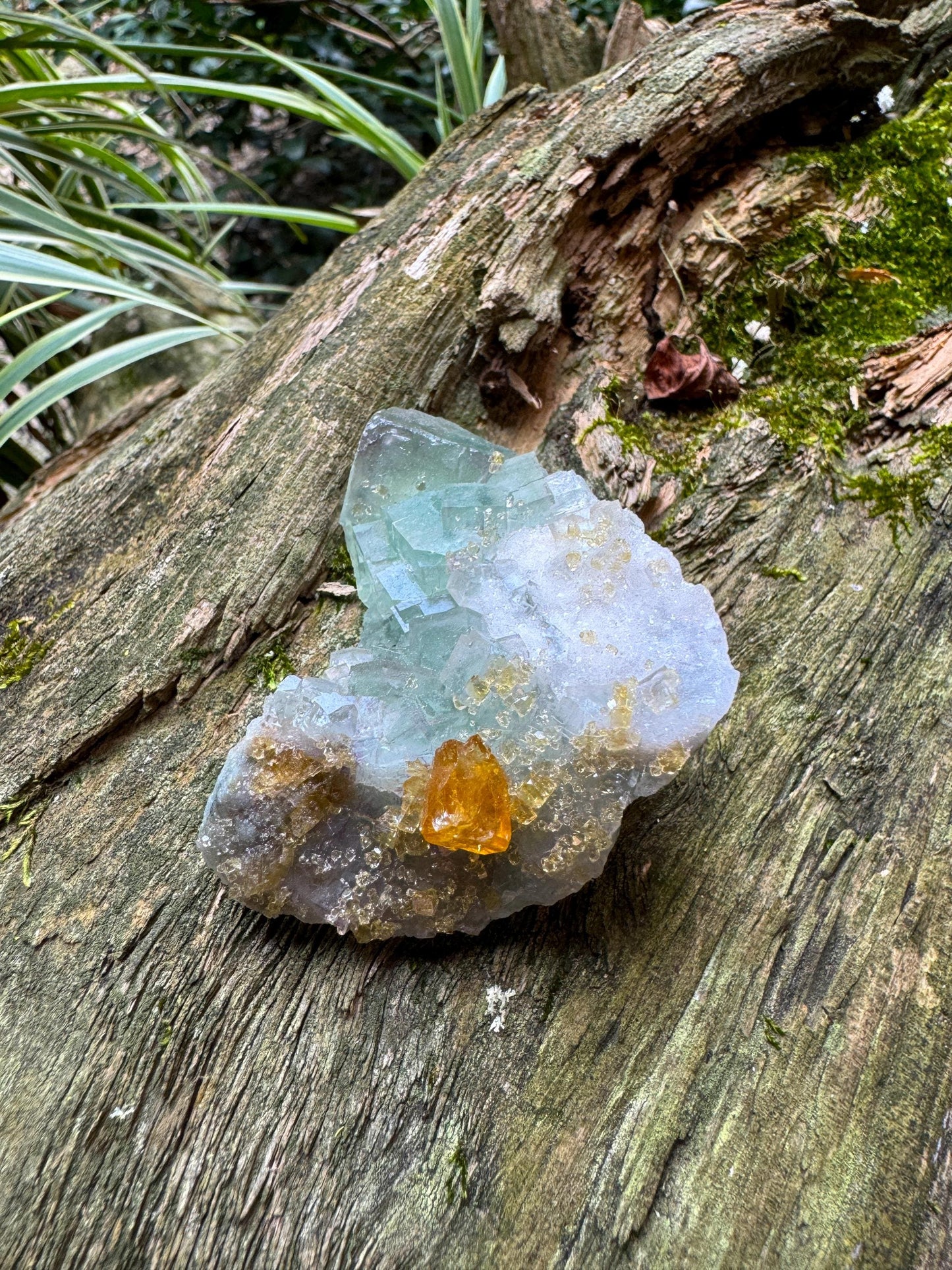 Light Green Cubic Fluorite specimen With Barite  251g from Xiefang Mine, Jiangxi Province, China Specimen