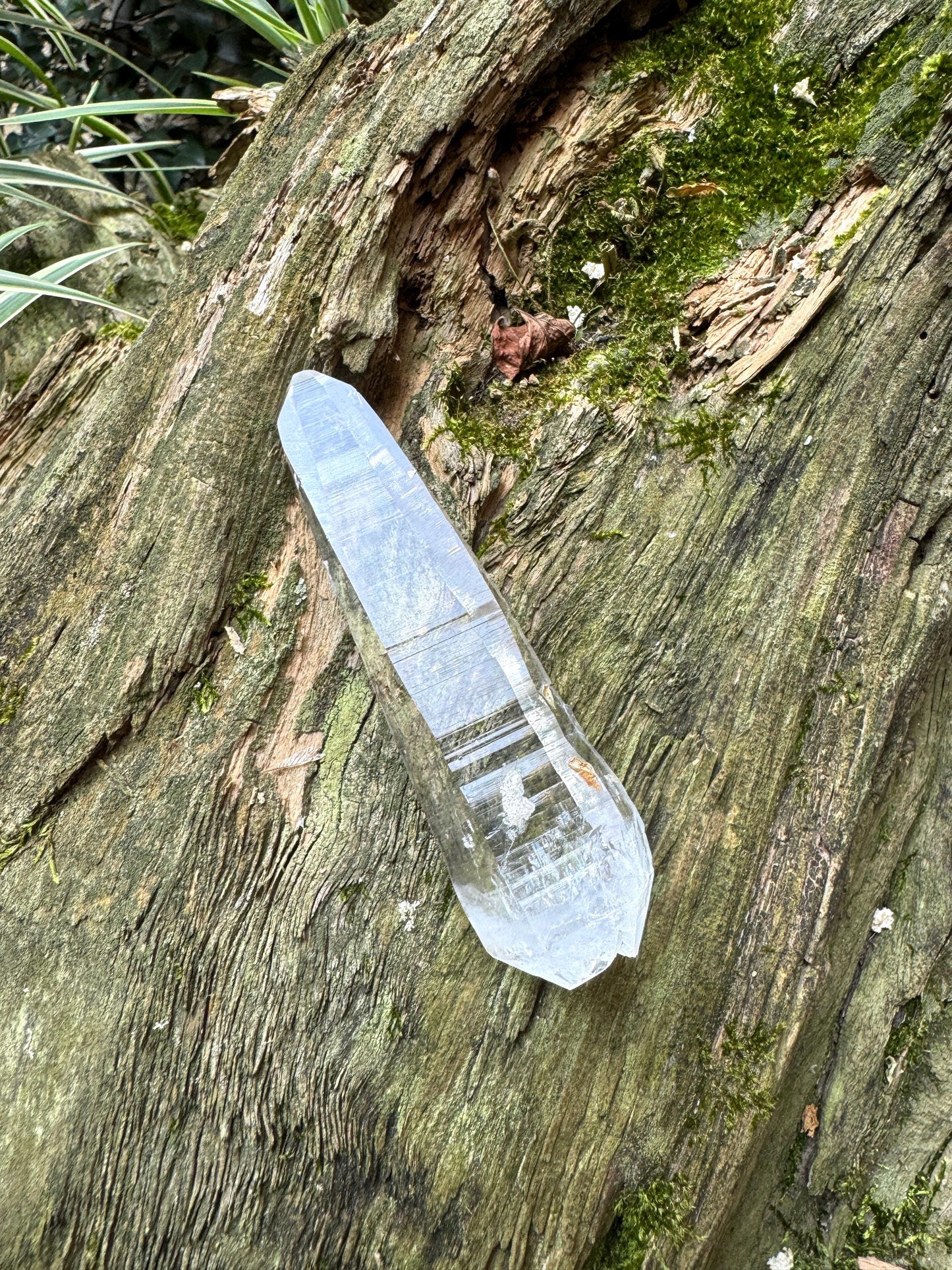 Stunning Columbian Lemurian Optical Quartz Point  Mineral Specimen