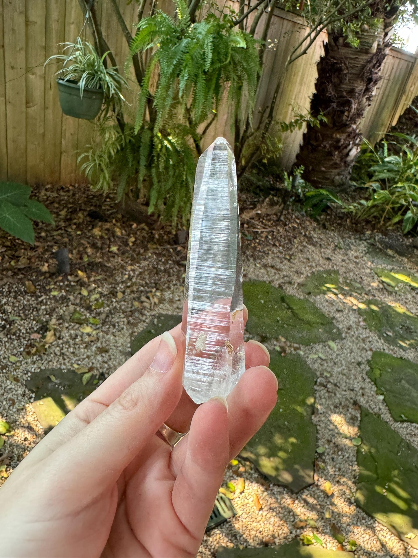 Stunning Columbian Lemurian Optical Quartz Point  Mineral Specimen