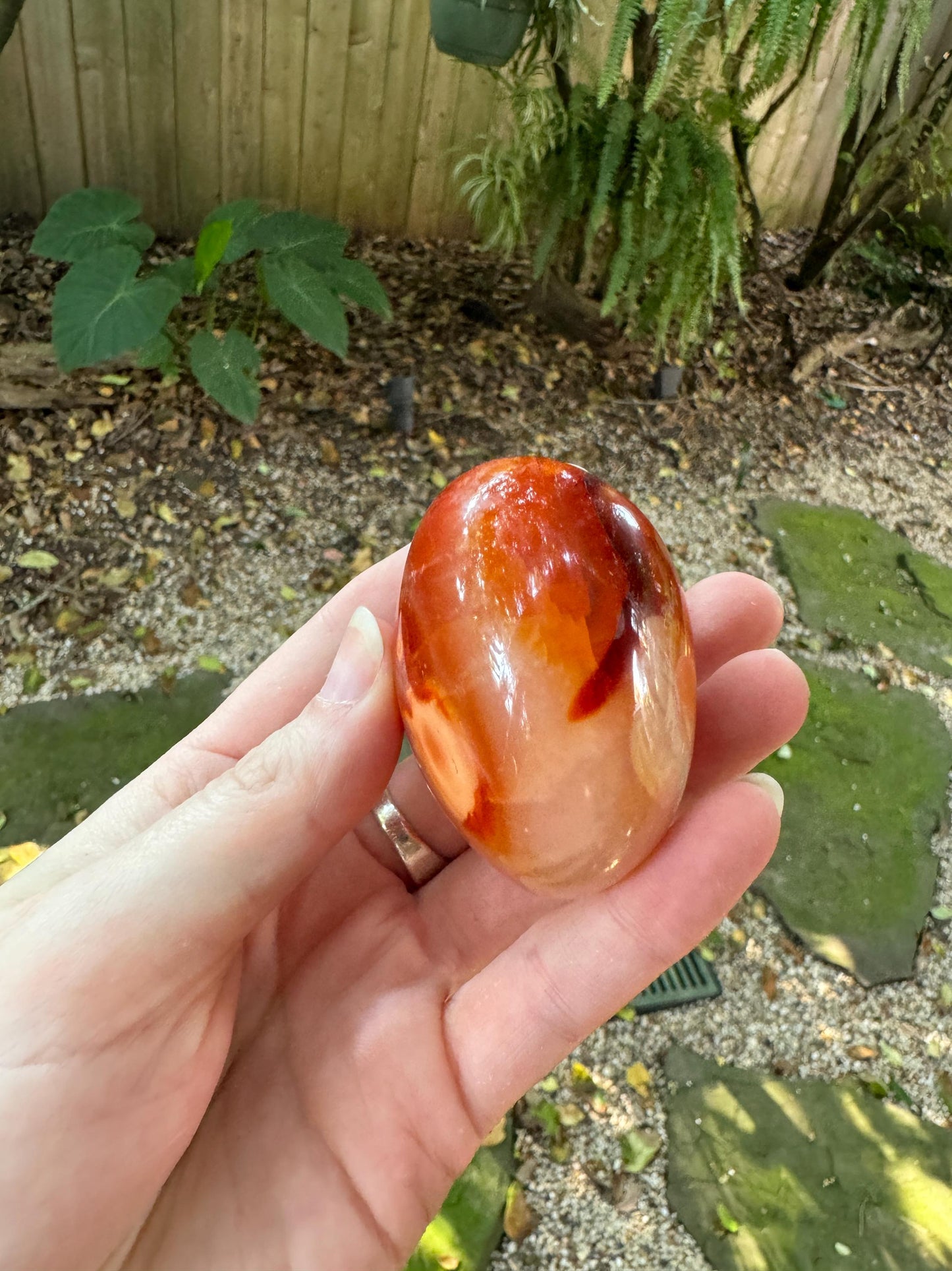 Carnelian Palm Stone Specimen 151.8g Specimen From Madagascar