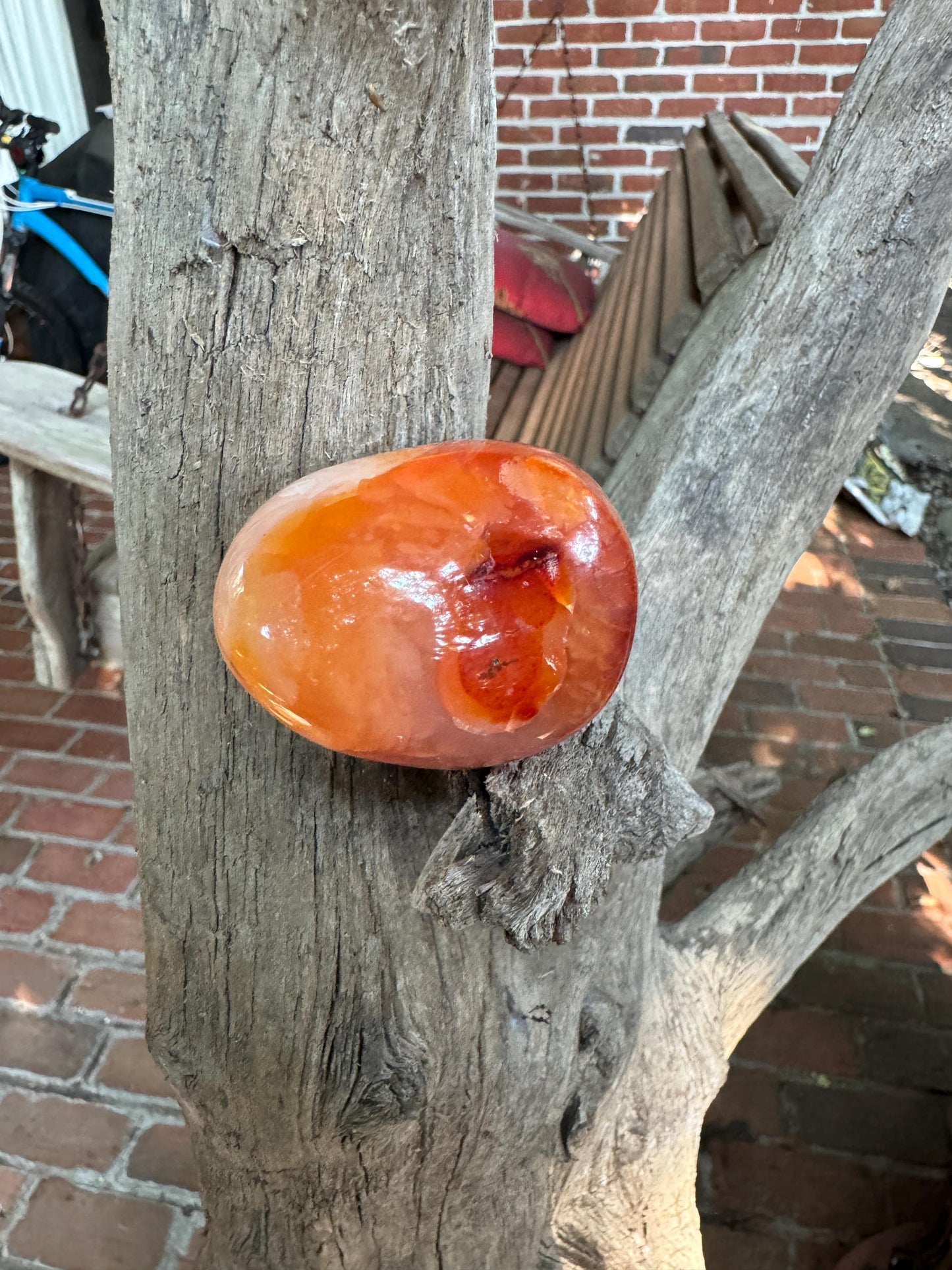 Carnelian Palm Stone Specimen 151.8g Specimen From Madagascar