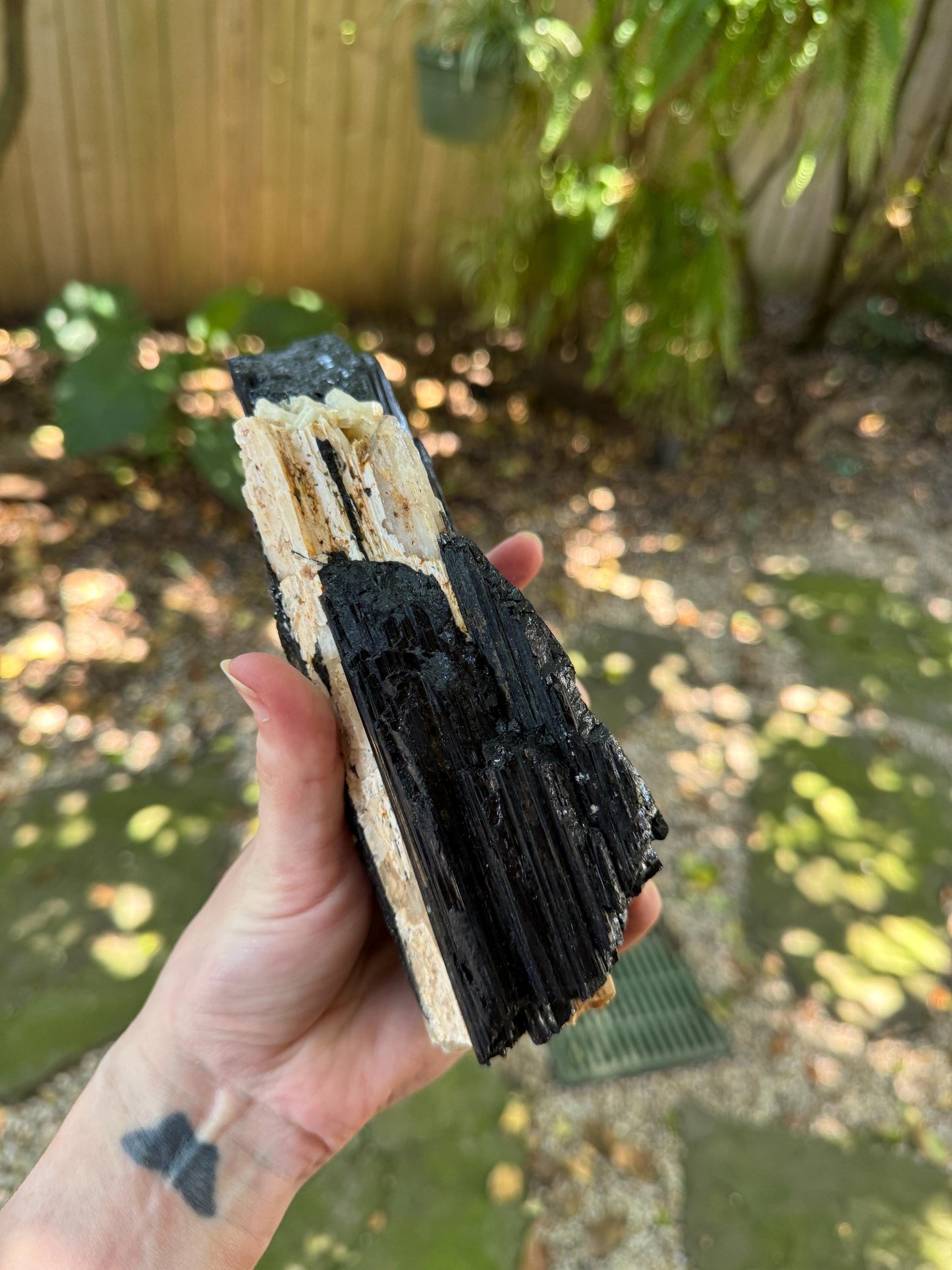 Black Tourmaline with Feldspar and Quartz From Brazil 1098g 2lbs 6.7oz Specimen Mineral Crystal