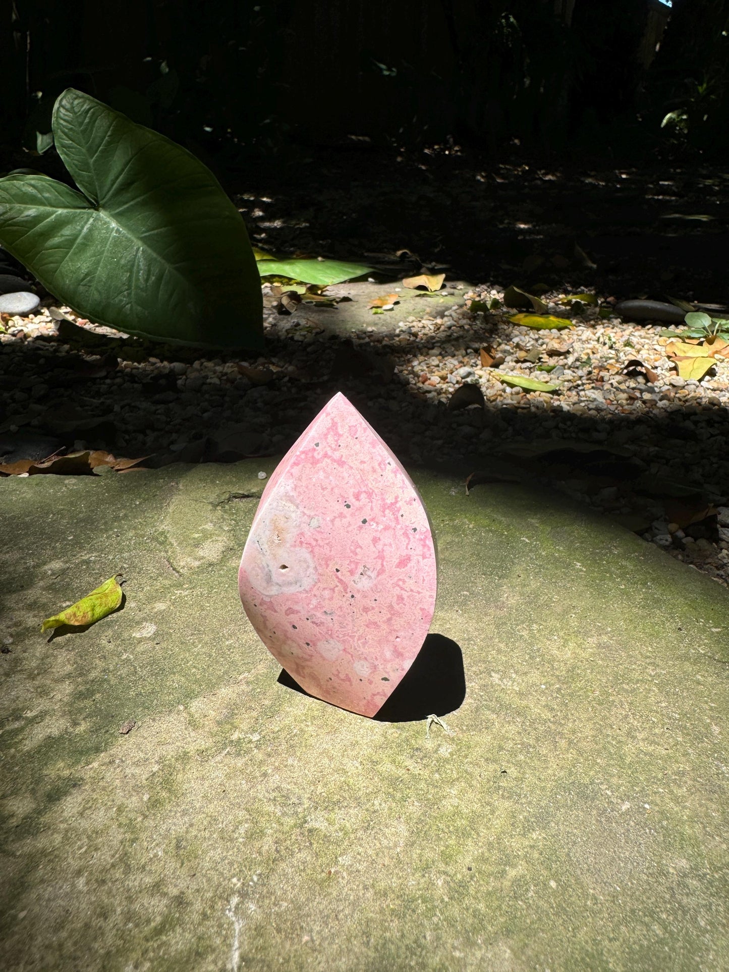 Rhodochrosite Teardrop Polished Specimen 164.7g From Peru Mineral Crystal