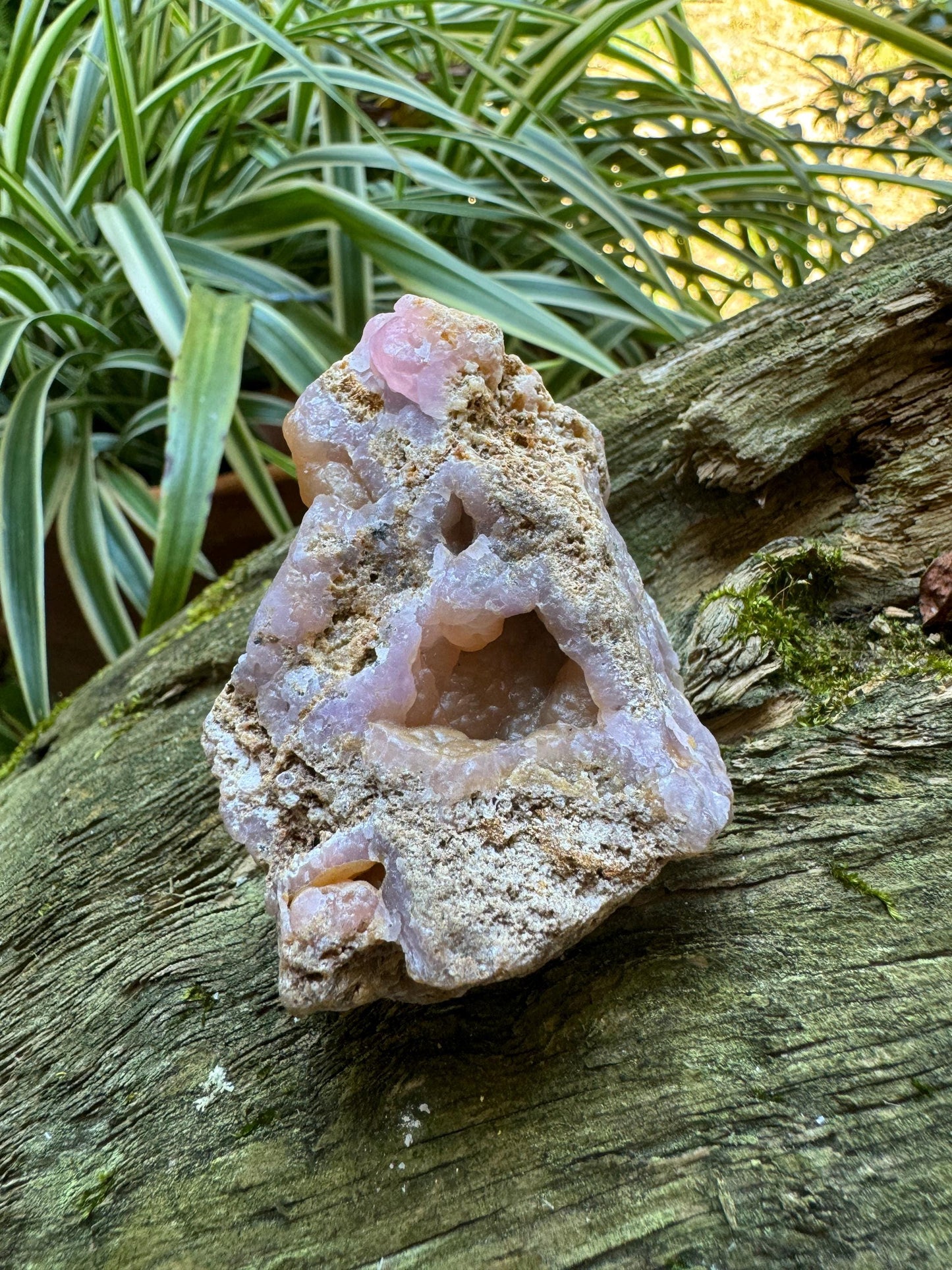 Light Pink, Purple and Orange Botryoidal Smithsonite 146.2 Specimen from Choix Sinaloa Mexico