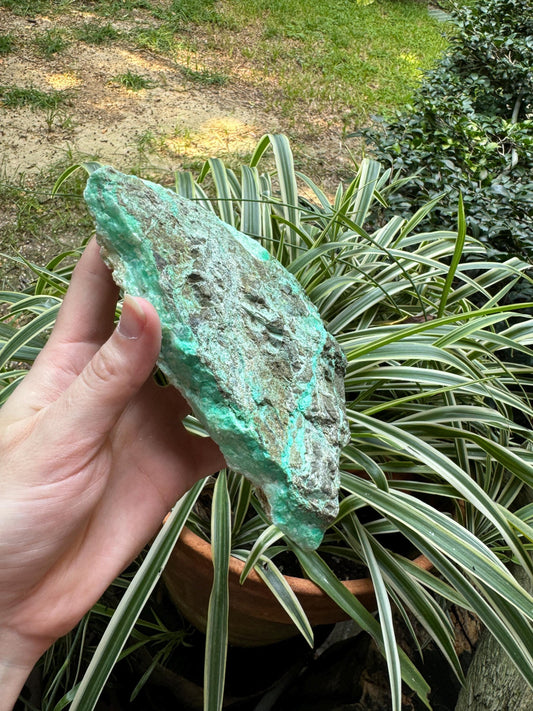 Rough/Raw Blue Green Chrysophrase from Brazil New Find 792g Mineral Crystal Specimen.