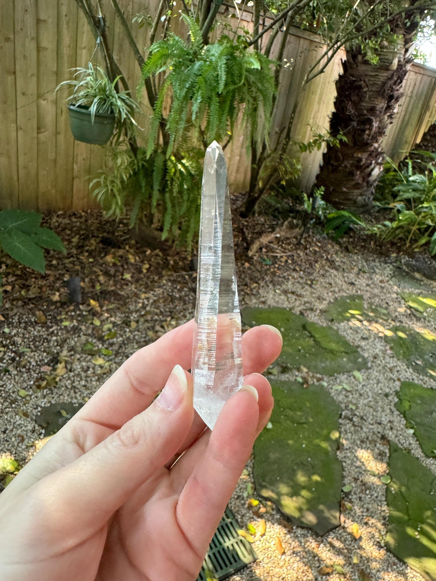 Stunning Columbian Lemurian Optical Quartz Point  Mineral Specimen