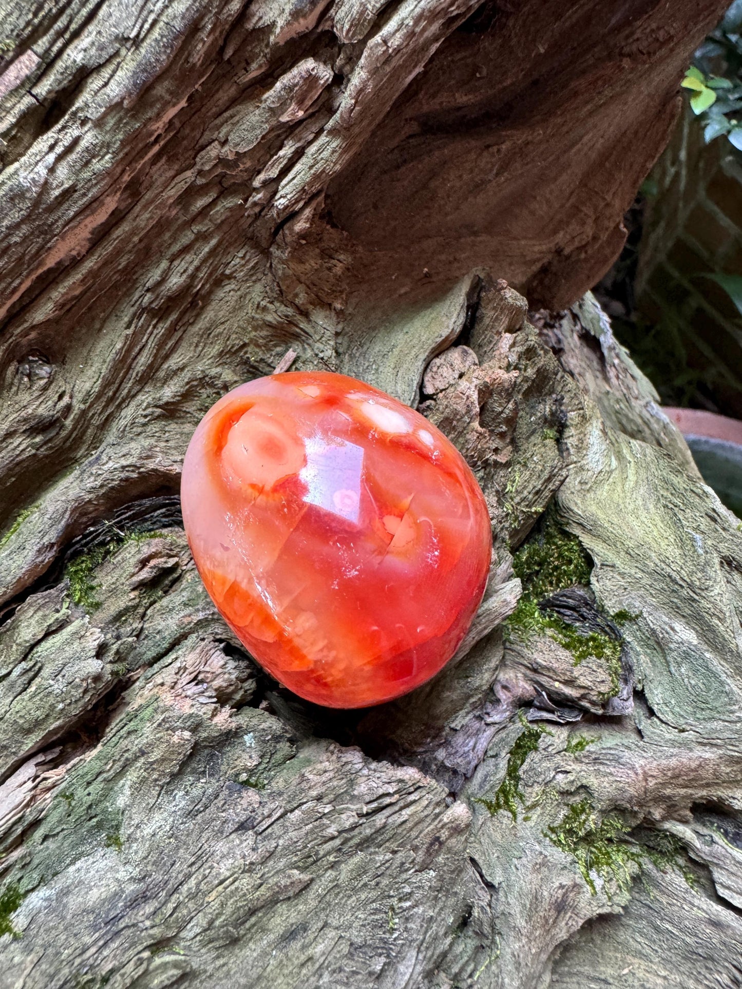 Carnelian Palm Stone Specimen 151.8g Specimen From Madagascar