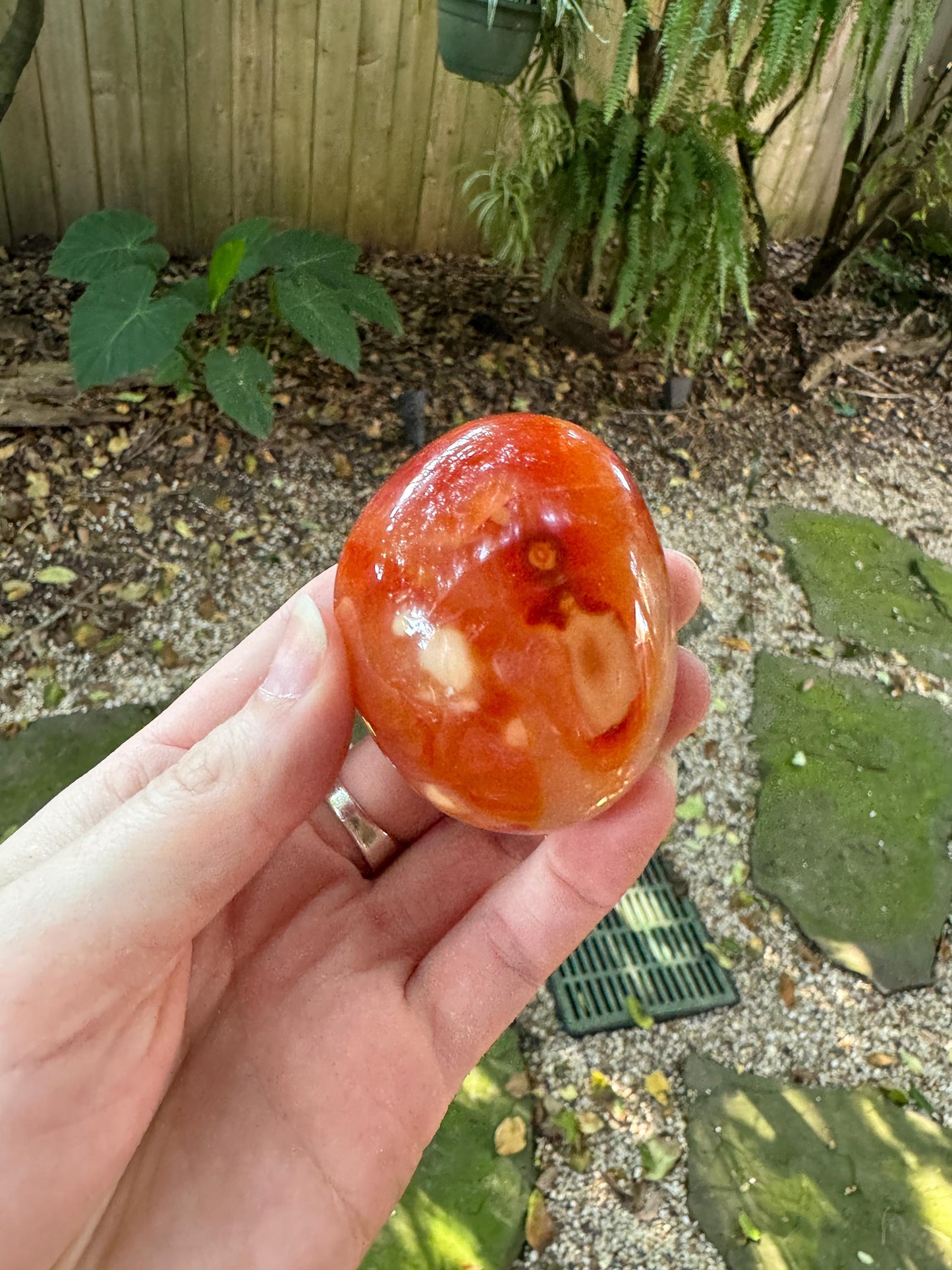 Carnelian Palm Stone Specimen 151.8g Specimen From Madagascar