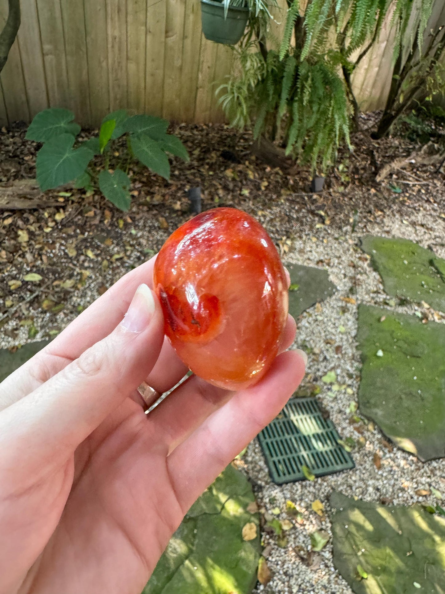 Carnelian Palm Stone Specimen 151.8g Specimen From Madagascar