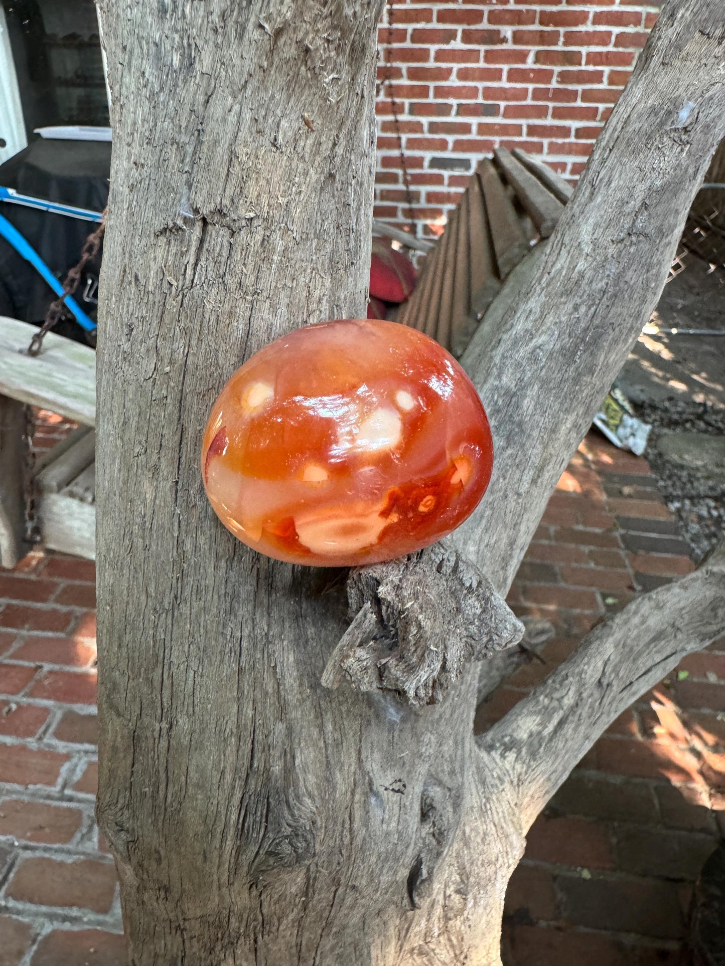 Carnelian Palm Stone Specimen 151.8g Specimen From Madagascar