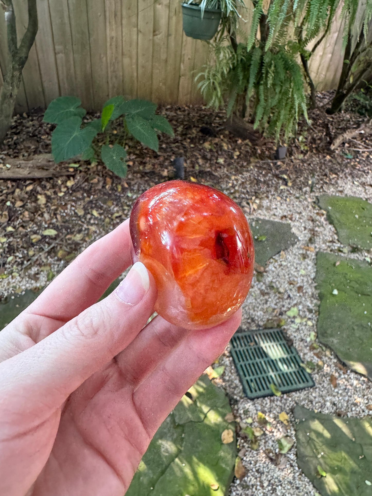 Carnelian Palm Stone Specimen 151.8g Specimen From Madagascar