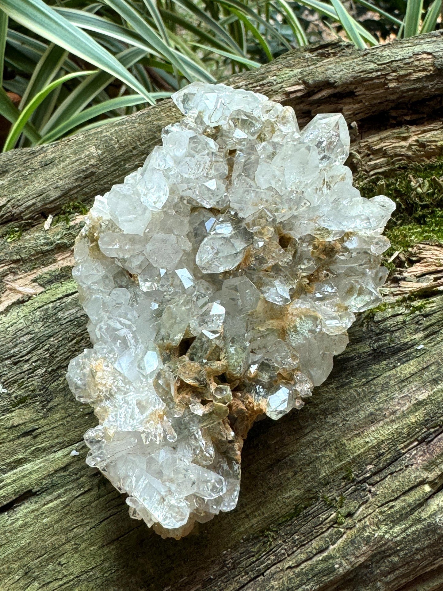 Quartz Cluster with Chlorite Mineral  195.3g From Balucistan, Pakistanl Crystal