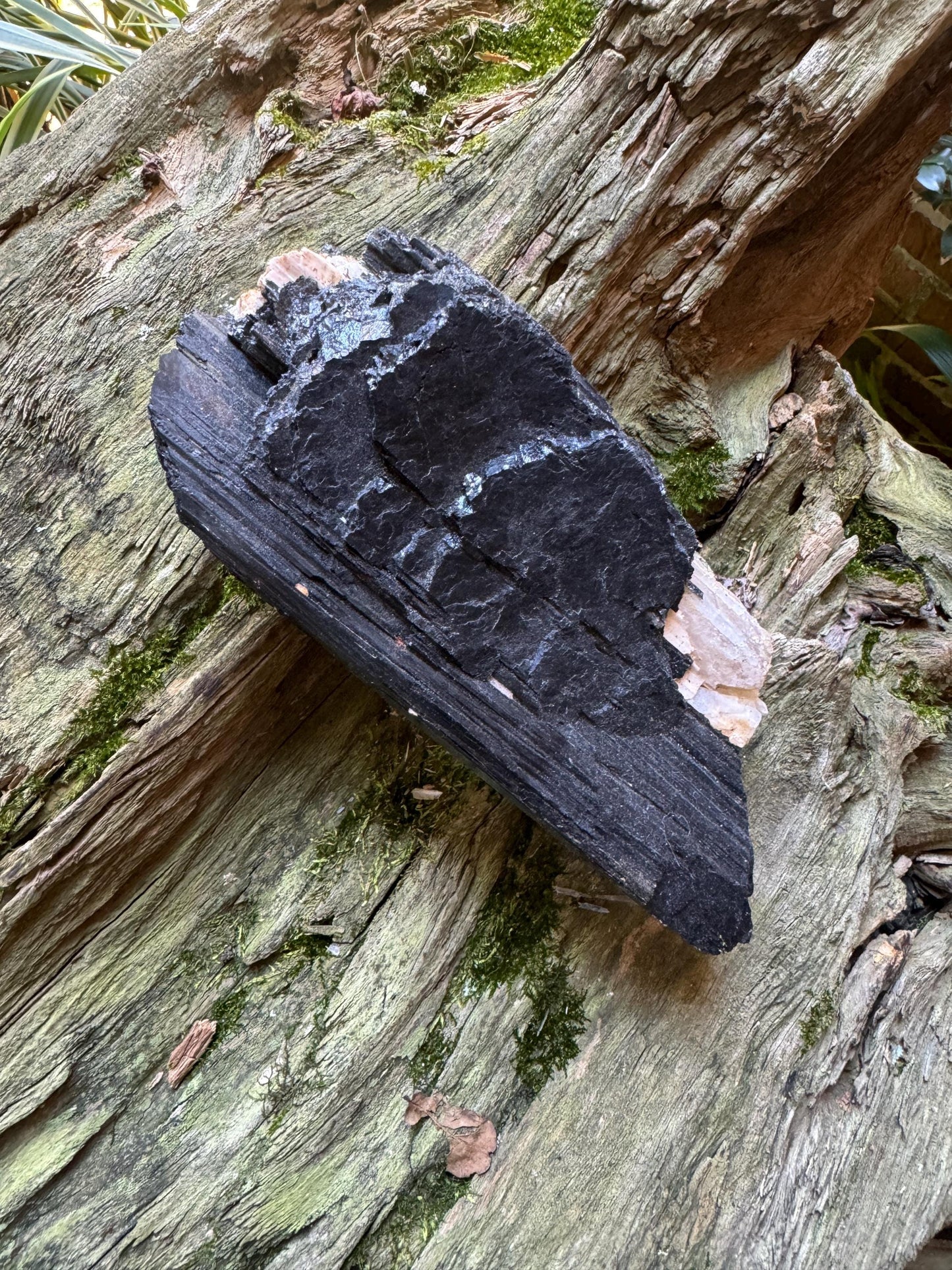 Black Tourmaline with Feldspar and Quartz From Brazil 1098g 2lbs 6.7oz Specimen Mineral Crystal