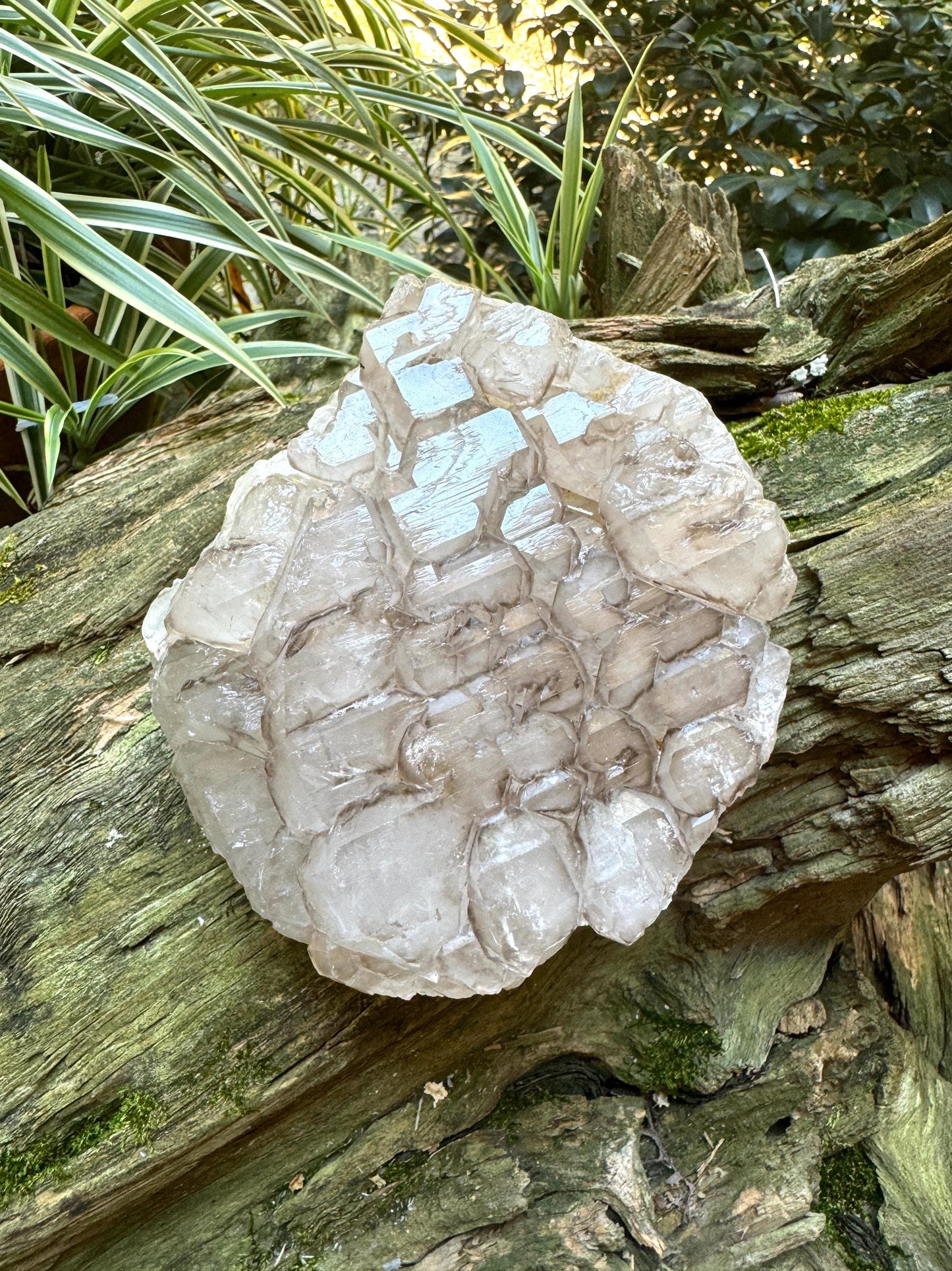 Smokey Elesital Quartz from Minas Gerais Brazil, 1356g 2lbs 15oz Specimen Mineral Crystal