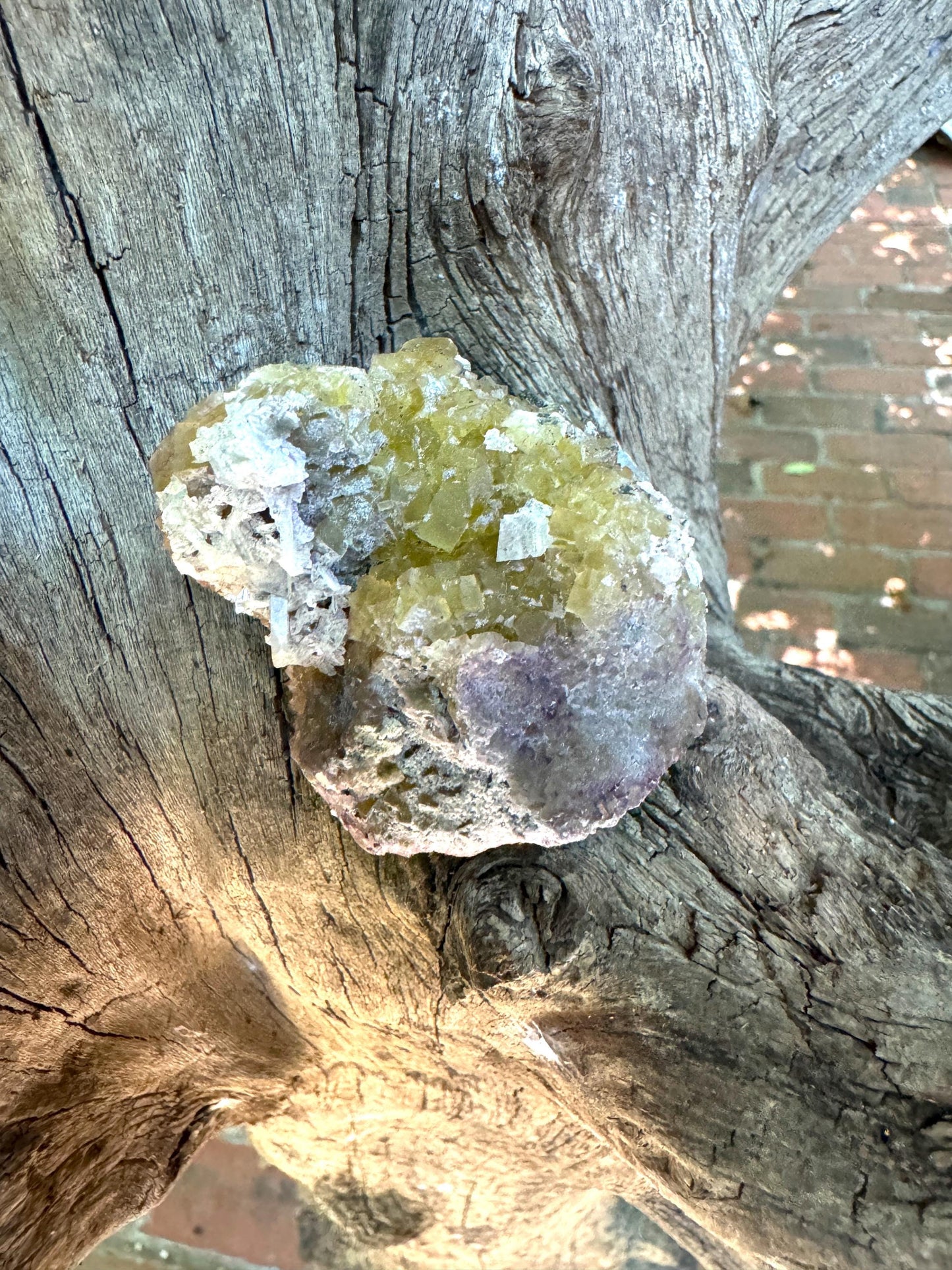 Sparkly Yellow and Purple Fluorescent Fluorite w/Pyrite from Spain 141.6g, Moscana Mine Crystal Specimen Mineral