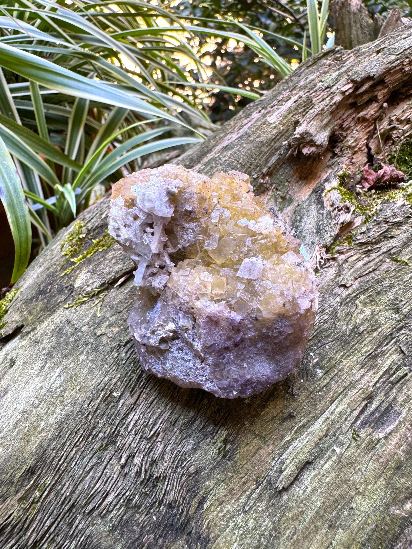 Sparkly Yellow and Purple Fluorescent Fluorite w/Pyrite from Spain 141.6g, Moscana Mine Crystal Specimen Mineral