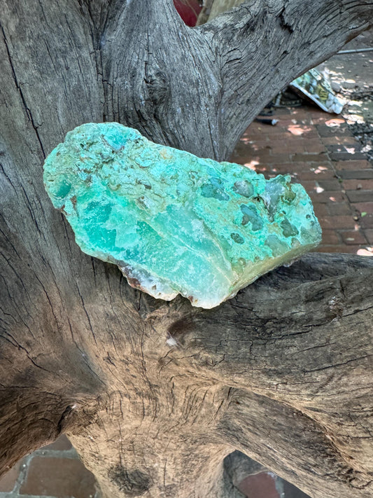 Rough/Raw Blue Green Chrysophrase With Quartz from Brazil New Find 282g 9.3oz Mineral Crystal Specimen.