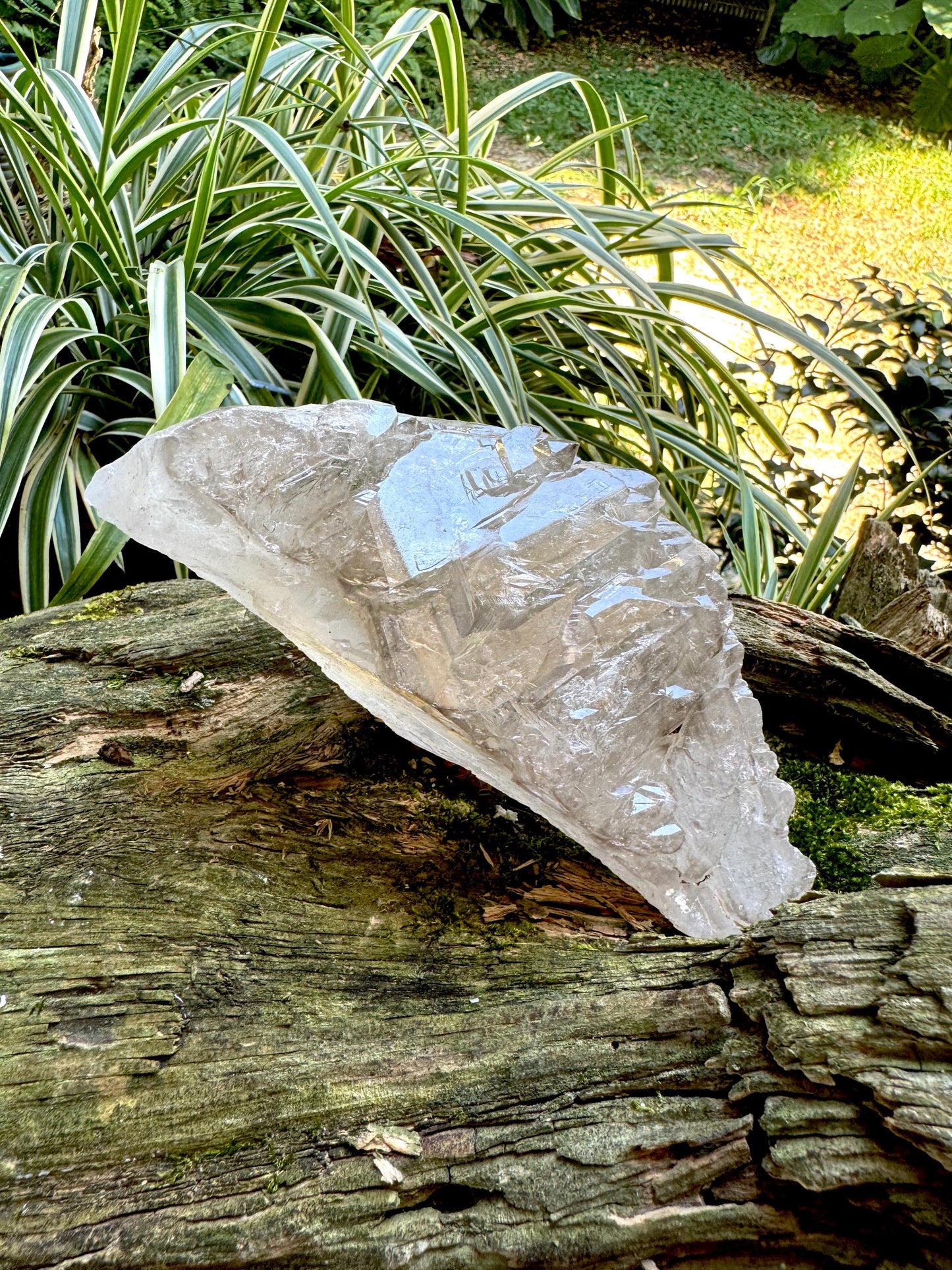 Pale Smokey Elesital Quartz Specimen from Minas Gerais Brazil, 512g Mineral Crystal