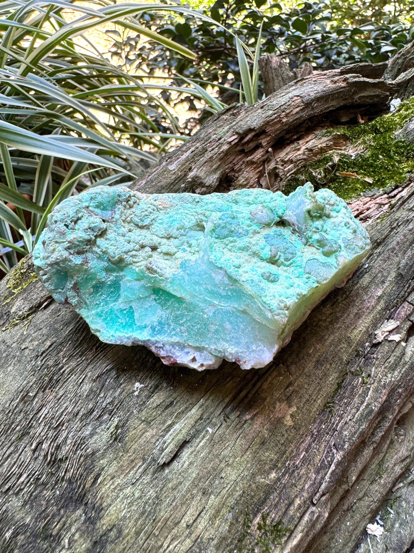 Rough/Raw Blue Green Chrysophrase With Quartz from Brazil New Find 282g 9.3oz Mineral Crystal Specimen.