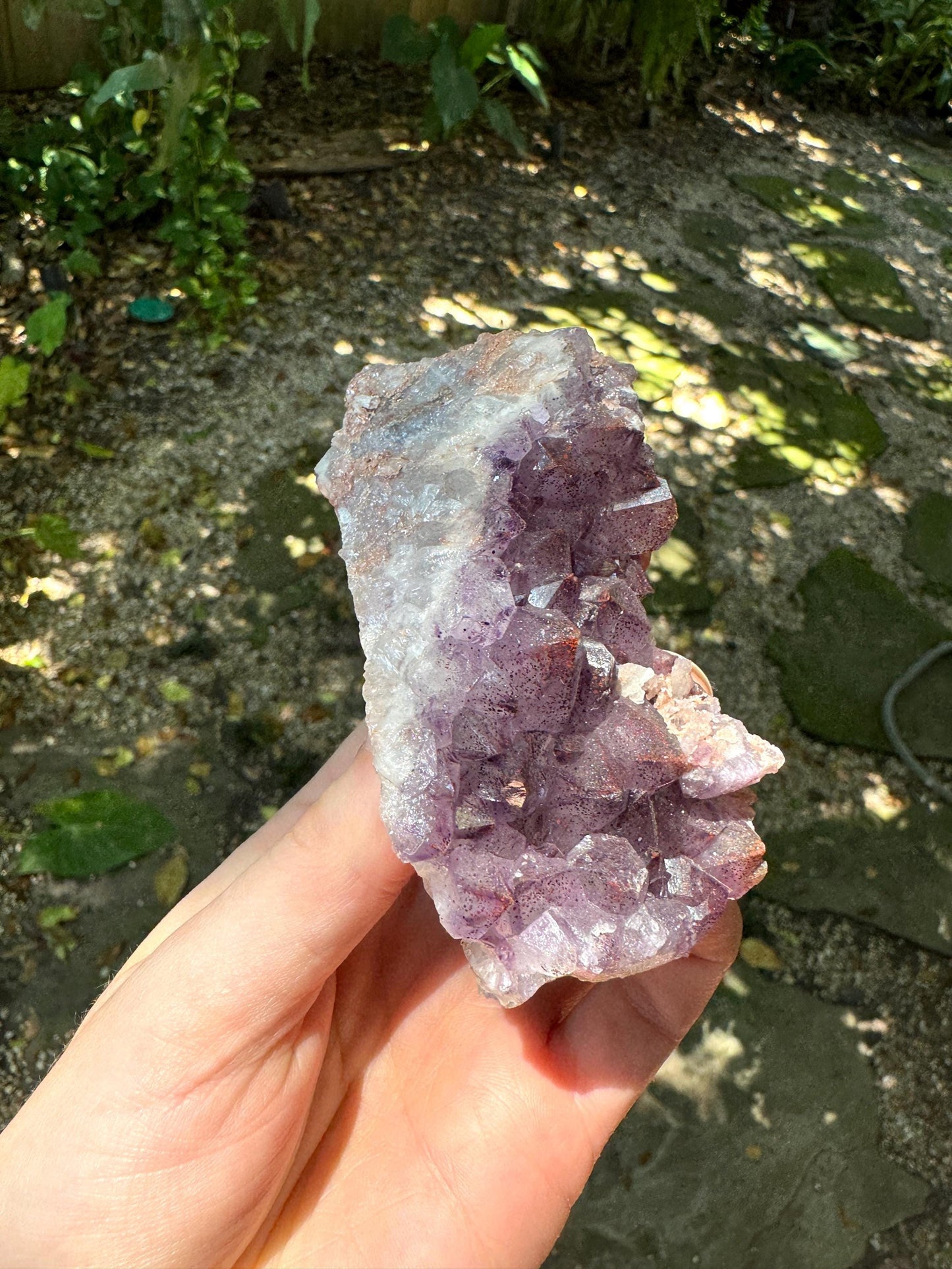 Thunder Bay Amethyst Ontario Canada 217.7g Specimen Amethyst with Hematite Mineral Crystal