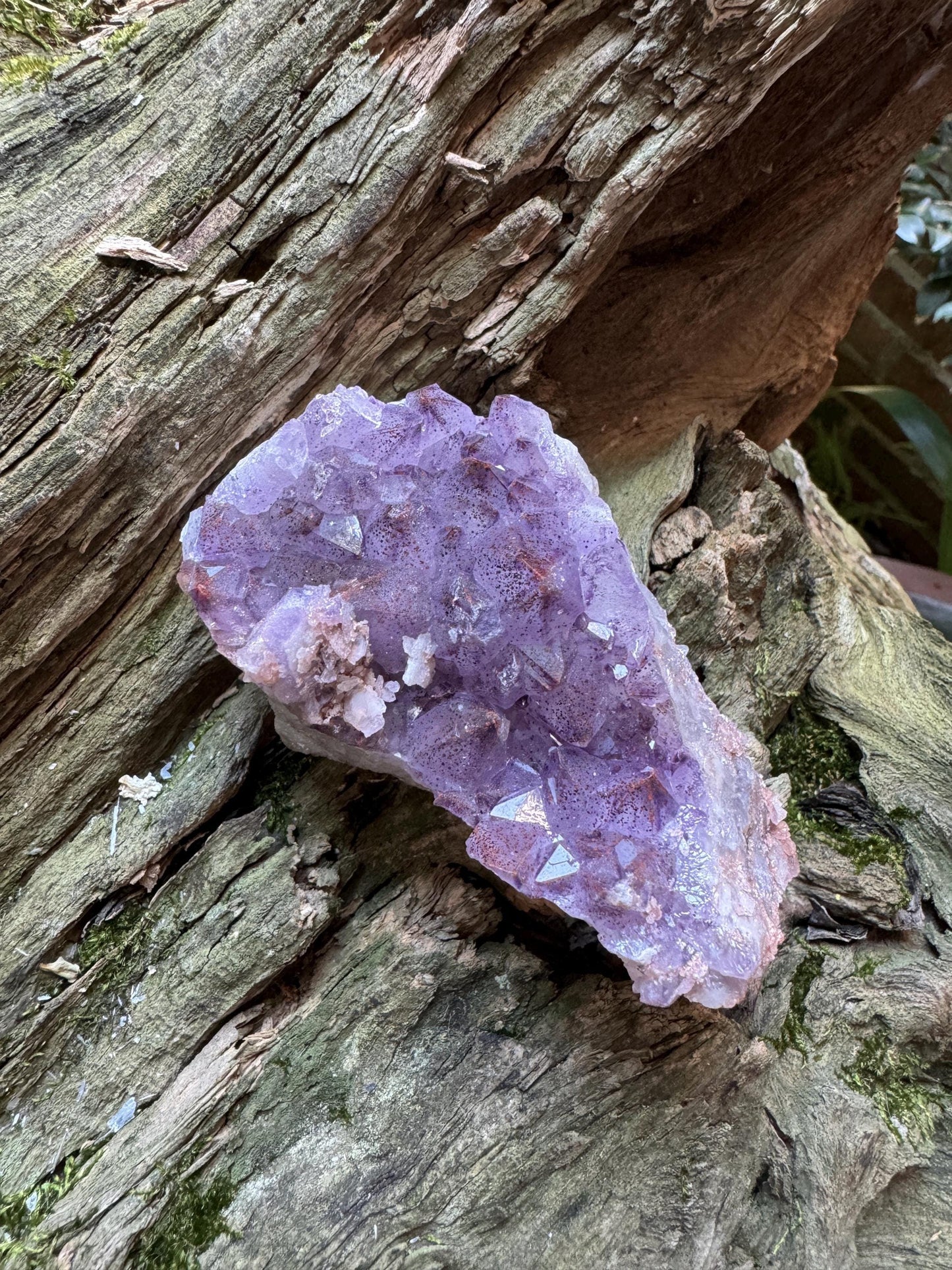 Thunder Bay Amethyst Ontario Canada 217.7g Specimen Amethyst with Hematite Mineral Crystal