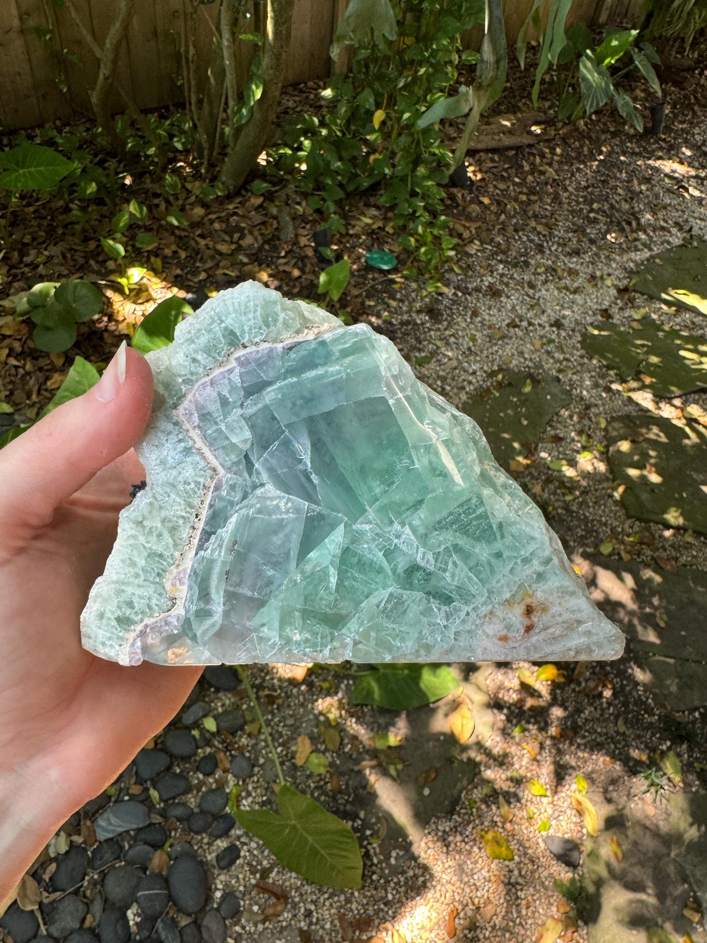 Medium Raw Rainbow Fluorite Display Piece Polished Face 1388g 3lbs 1oz From Mexico, Specimen