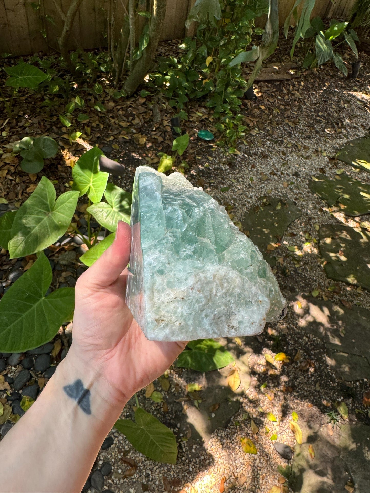 Medium Raw Rainbow Fluorite Display Piece Polished Face 1388g 3lbs 1oz From Mexico, Specimen