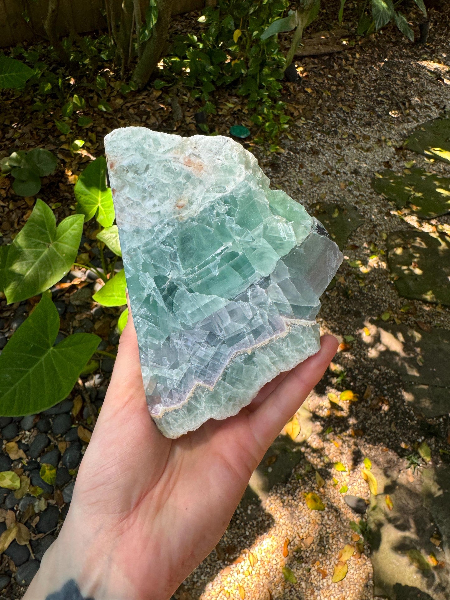 Medium Raw Rainbow Fluorite Display Piece Polished Face 1388g 3lbs 1oz From Mexico, Specimen