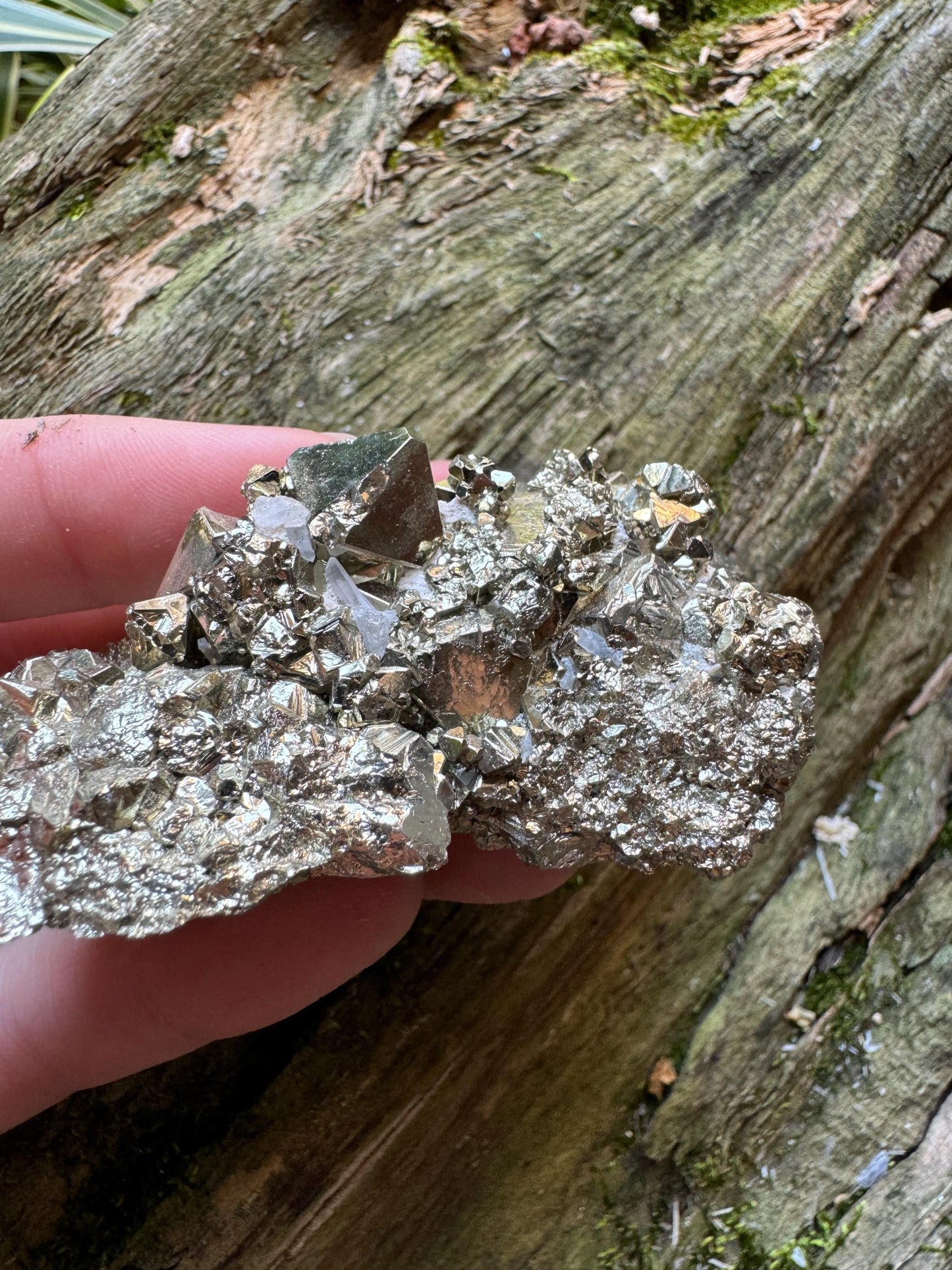 Beautiful Natural Raw Pyrite With Quartz Specimen 168.2g, from Huanzala Mine, Peru Mineral Crystal