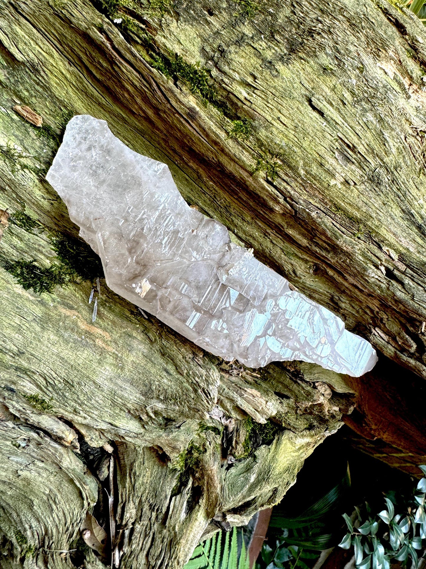 Pale Smokey Elesital Quartz Specimen from Minas Gerais Brazil, 350g Mineral Crystal