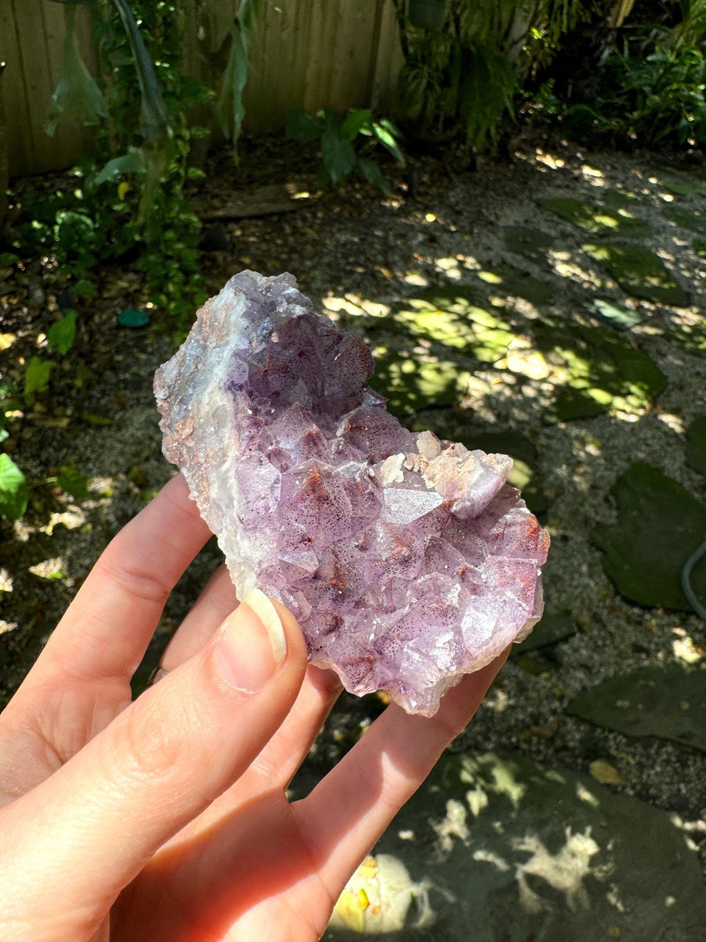 Thunder Bay Amethyst Ontario Canada 217.7g Specimen Amethyst with Hematite Mineral Crystal