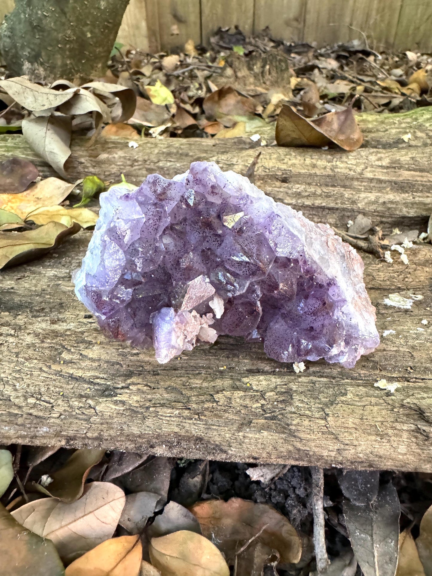 Thunder Bay Amethyst Ontario Canada 217.7g Specimen Amethyst with Hematite Mineral Crystal