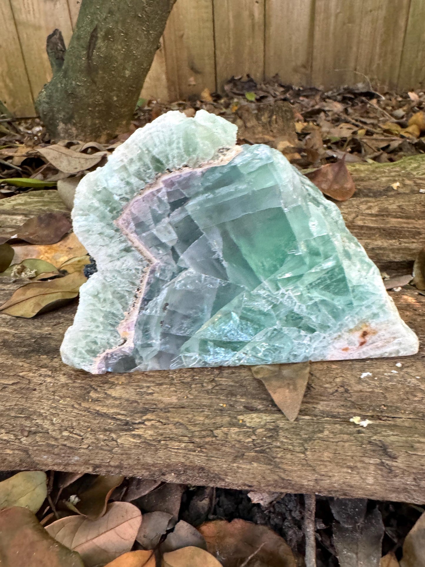 Medium Raw Rainbow Fluorite Display Piece Polished Face 1388g 3lbs 1oz From Mexico, Specimen