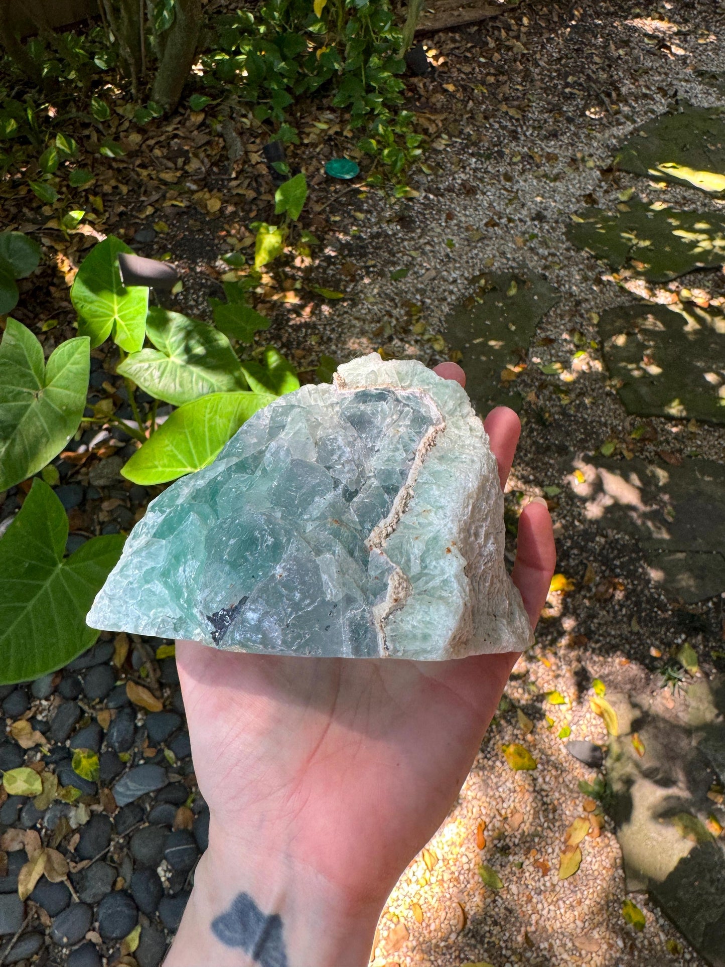 Medium Raw Rainbow Fluorite Display Piece Polished Face 1388g 3lbs 1oz From Mexico, Specimen