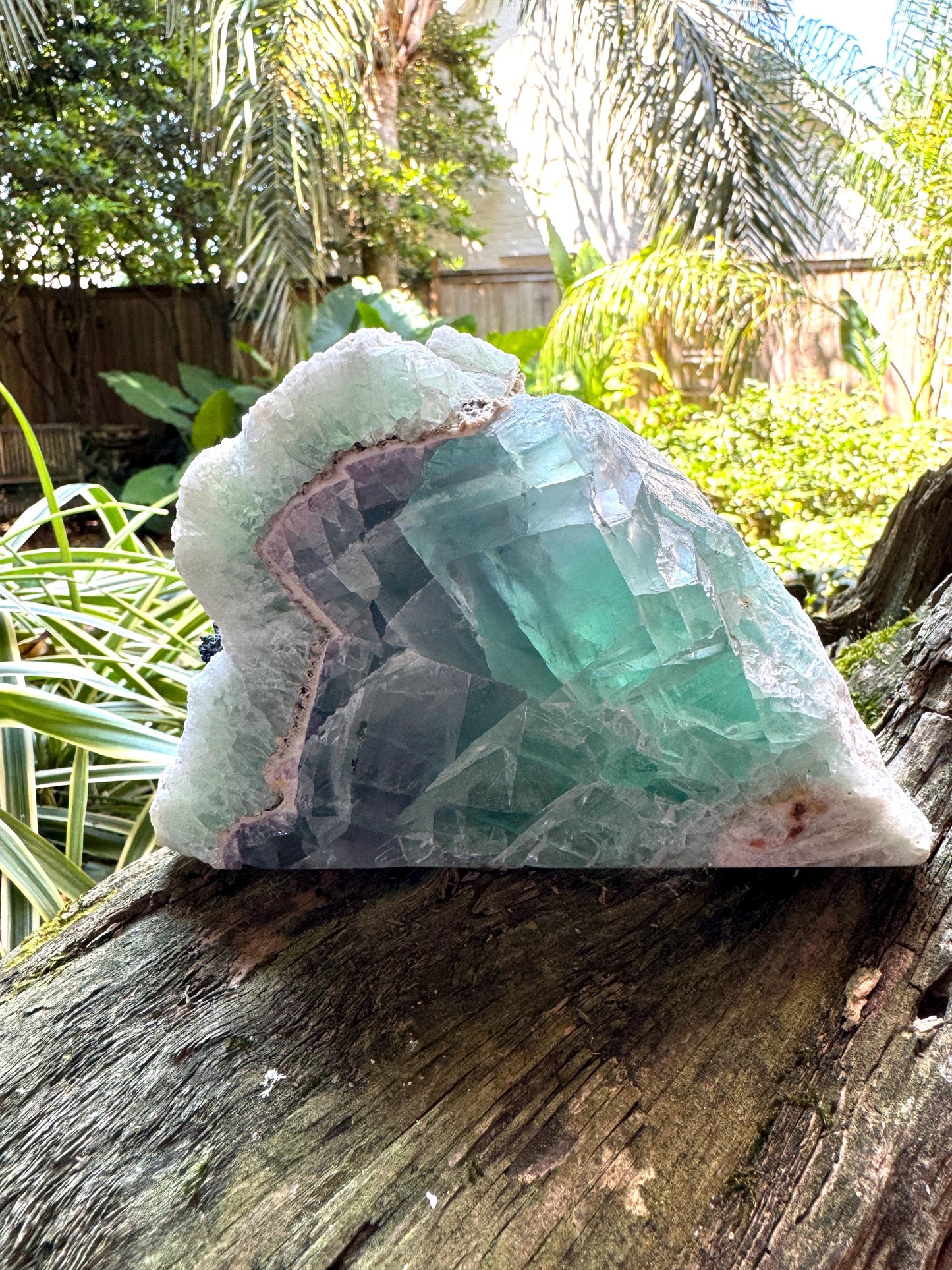 Medium Raw Rainbow Fluorite Display Piece Polished Face 1388g 3lbs 1oz From Mexico, Specimen