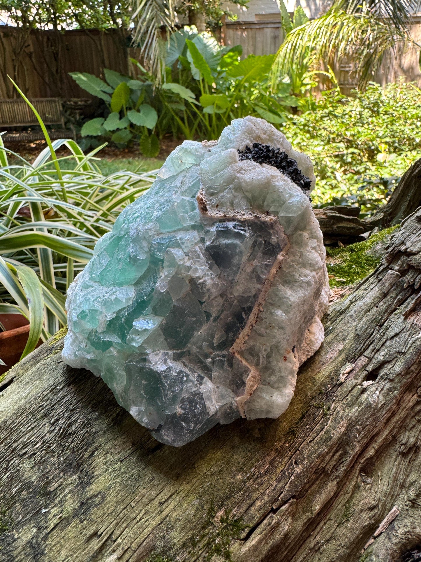 Medium Raw Rainbow Fluorite Display Piece Polished Face 1388g 3lbs 1oz From Mexico, Specimen