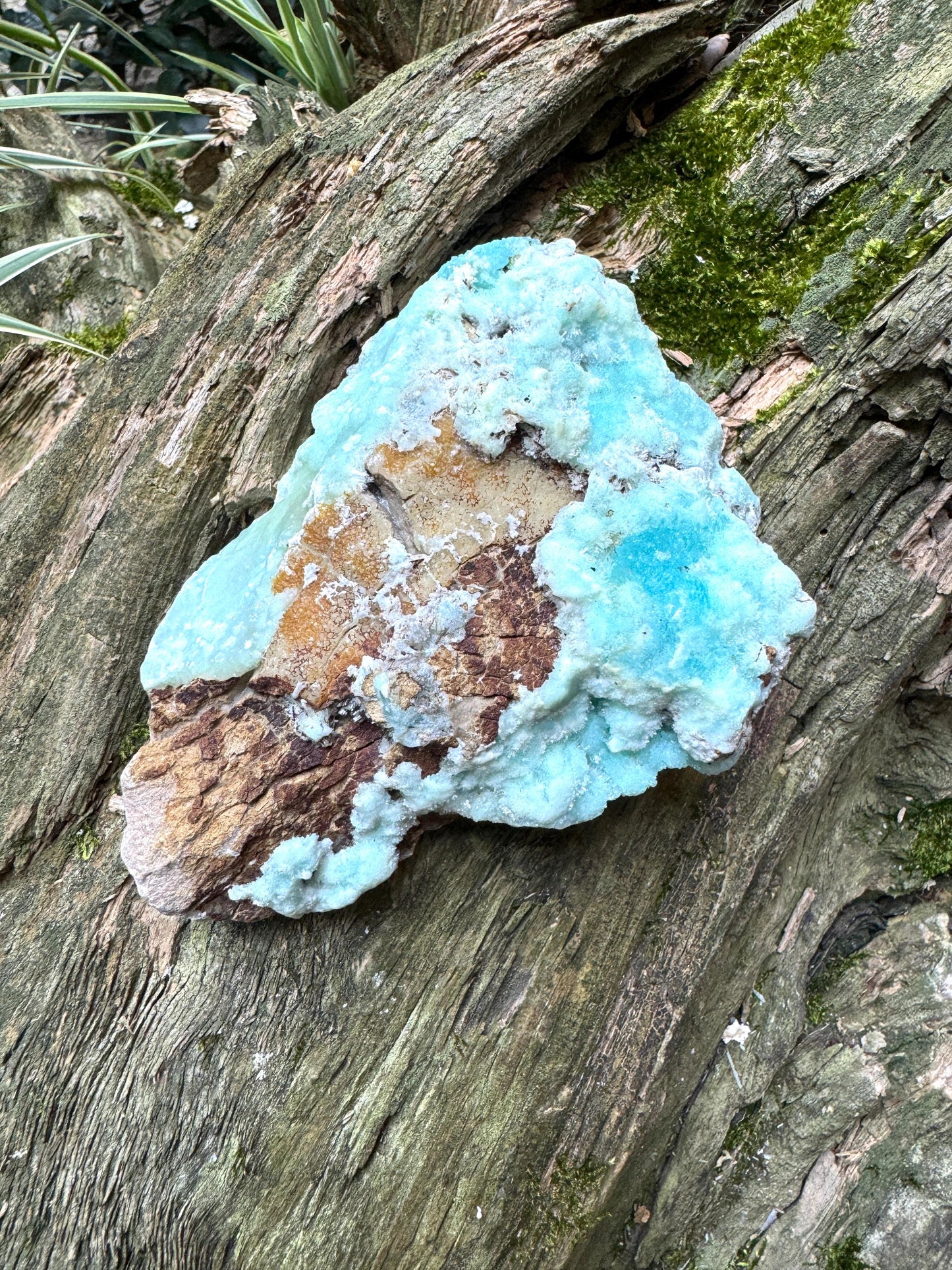 Raw Blue Aragonite Specimen From Afghanistan 283.9g Crystal Mineral