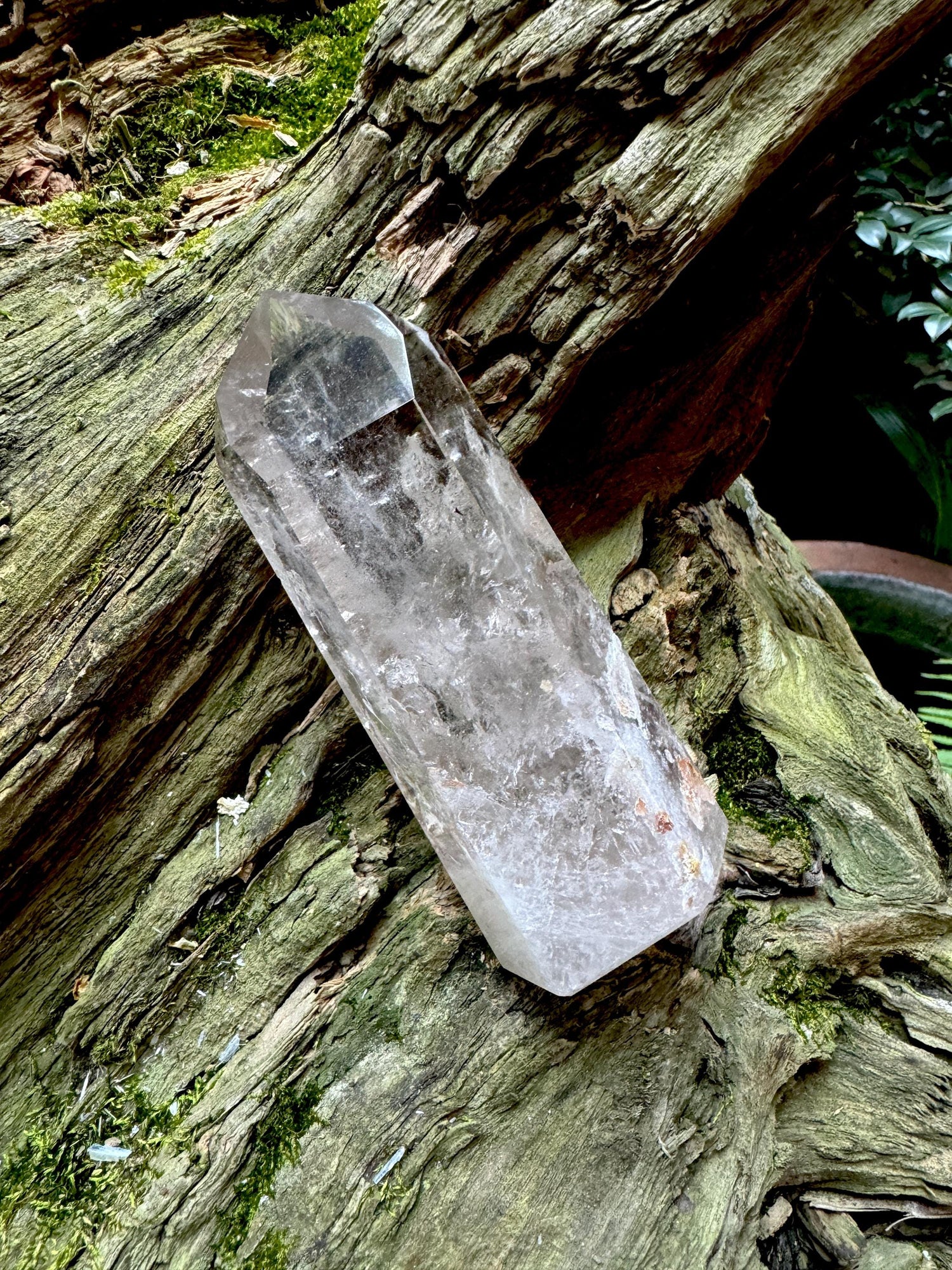 Polished Points
