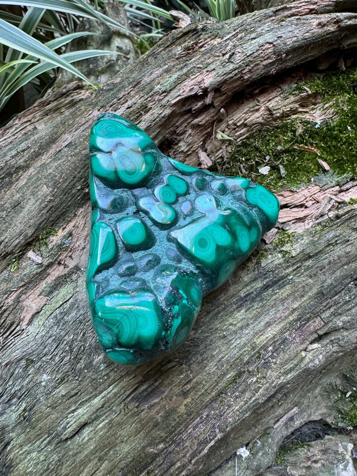 Lovely Polished Malachite Specimen from The Congo 167.2g Mineral Crystal