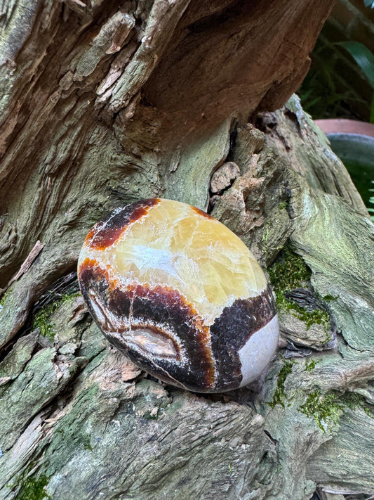 Lovely Septarian Calcite Palm Stone Madagascar 140.2g Specimen Mineral Crystal