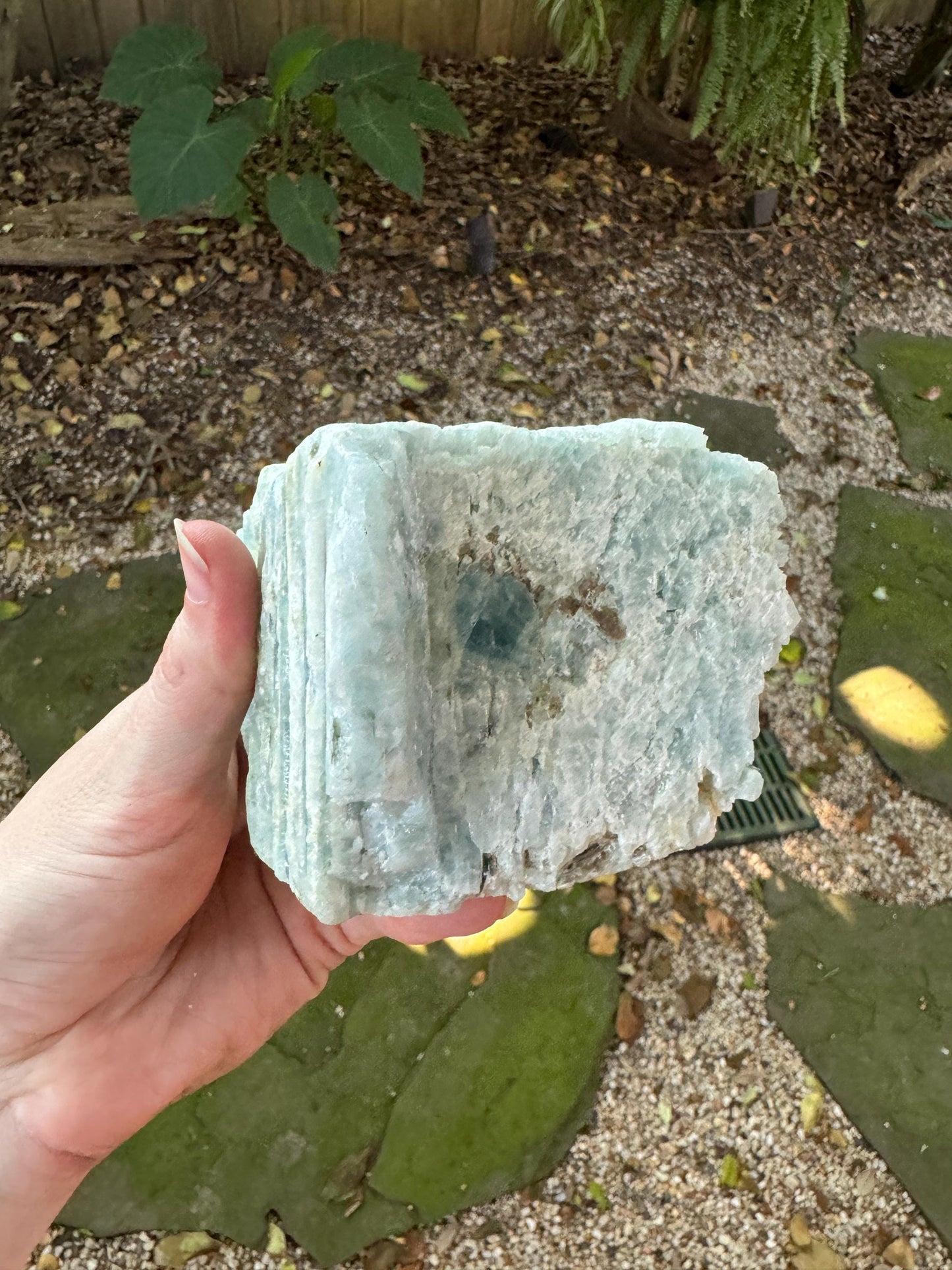 Aquamarine/Beryl Crystal from Minas Gerais Brazil 794g 1lb 12oz Specimen Mineral Crystal