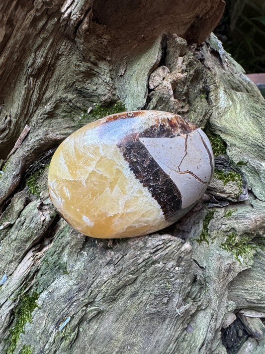 Lovely Septarian Calcite Palm Stone Madagascar 140.2g Specimen Mineral Crystal