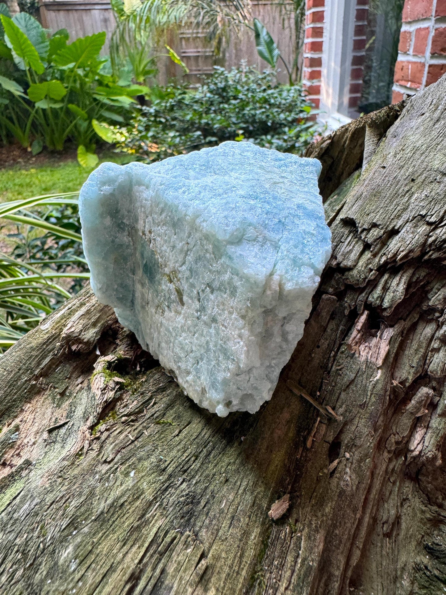 Aquamarine/Beryl Crystal from Minas Gerais Brazil 794g 1lb 12oz Specimen Mineral Crystal